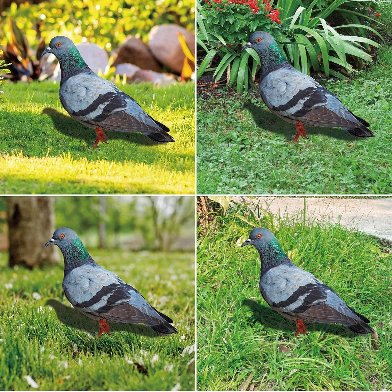 Pigeon Decoys,2X Realistic 2D Acrylic Pigeon Model - Bird Stake Ground Plug, Decorative Yard Art Bird Figurine for Courtyard, Lawn, Patio, Outdoor image number 4