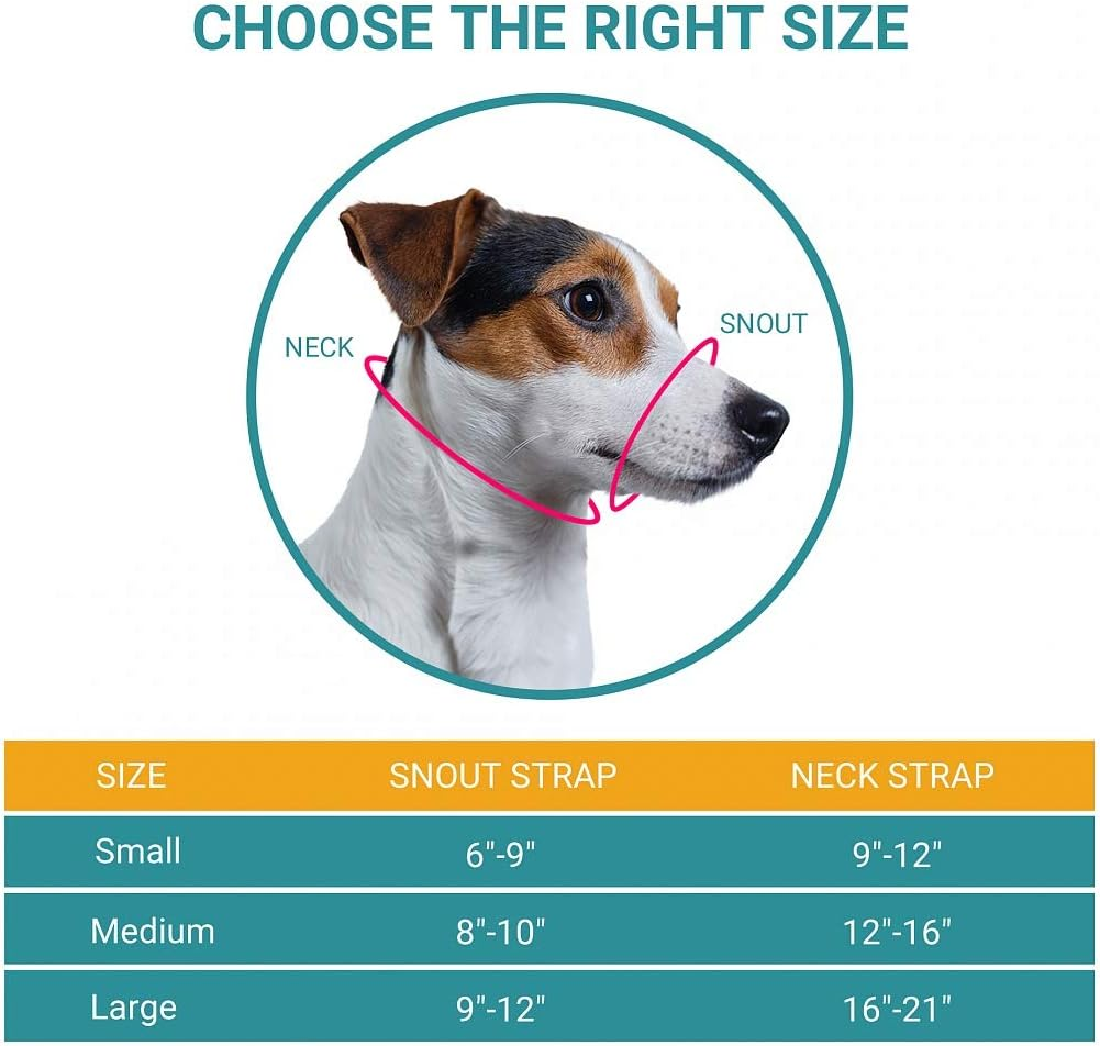 BRONZEDOG Soft Padded Nylon Dog Muzzle Adjustable Neoprene Comfort Bitting Chewing Pet Muzzles for Small Medium Large Dogs Puppy (Mint Green, Medium)