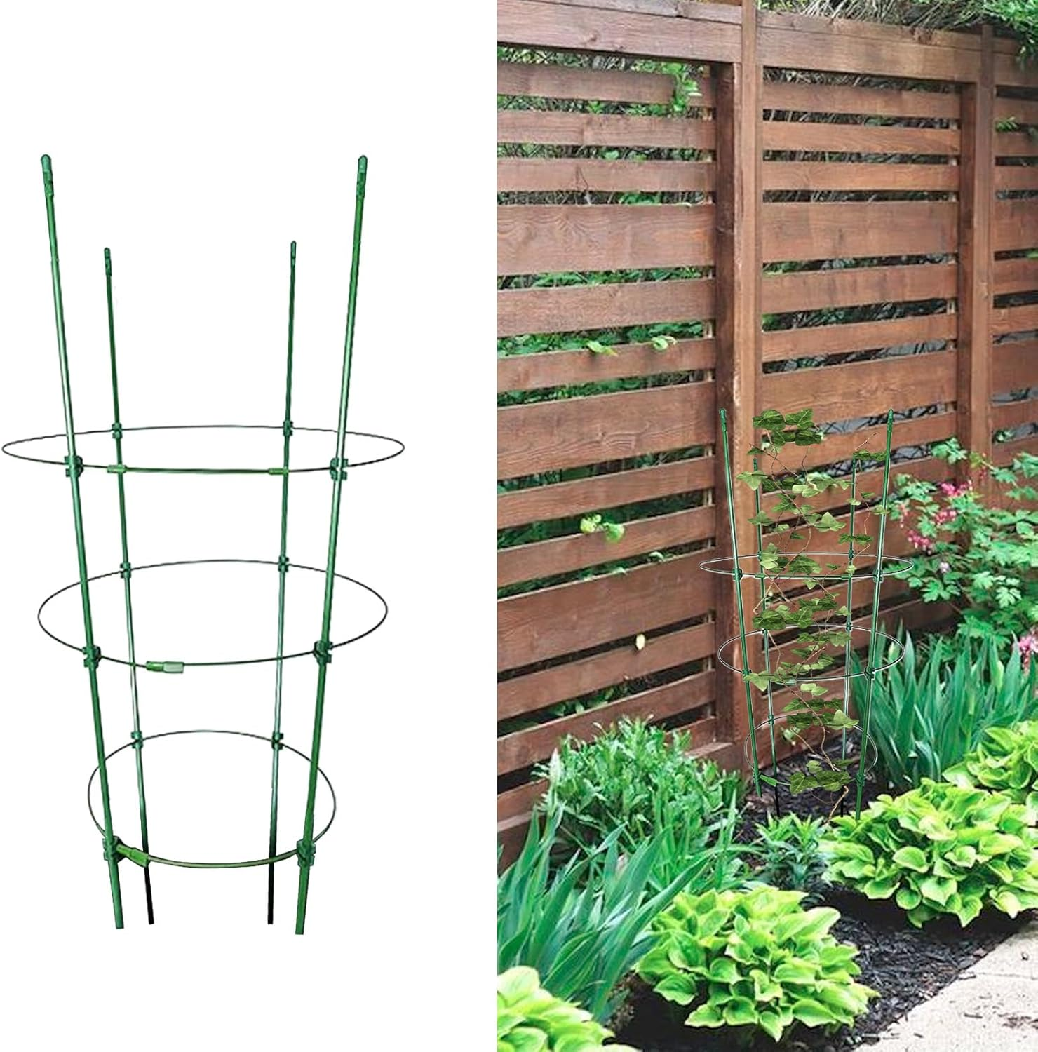 Tomato Cage - Heavy Duty Tomato Prop Vegetable Cages,3 Pieces Stakes Gardening Supplies, Plant Bracket Flower Stands for Vines, Fruits, Flowers, Climbing Plants image number 2