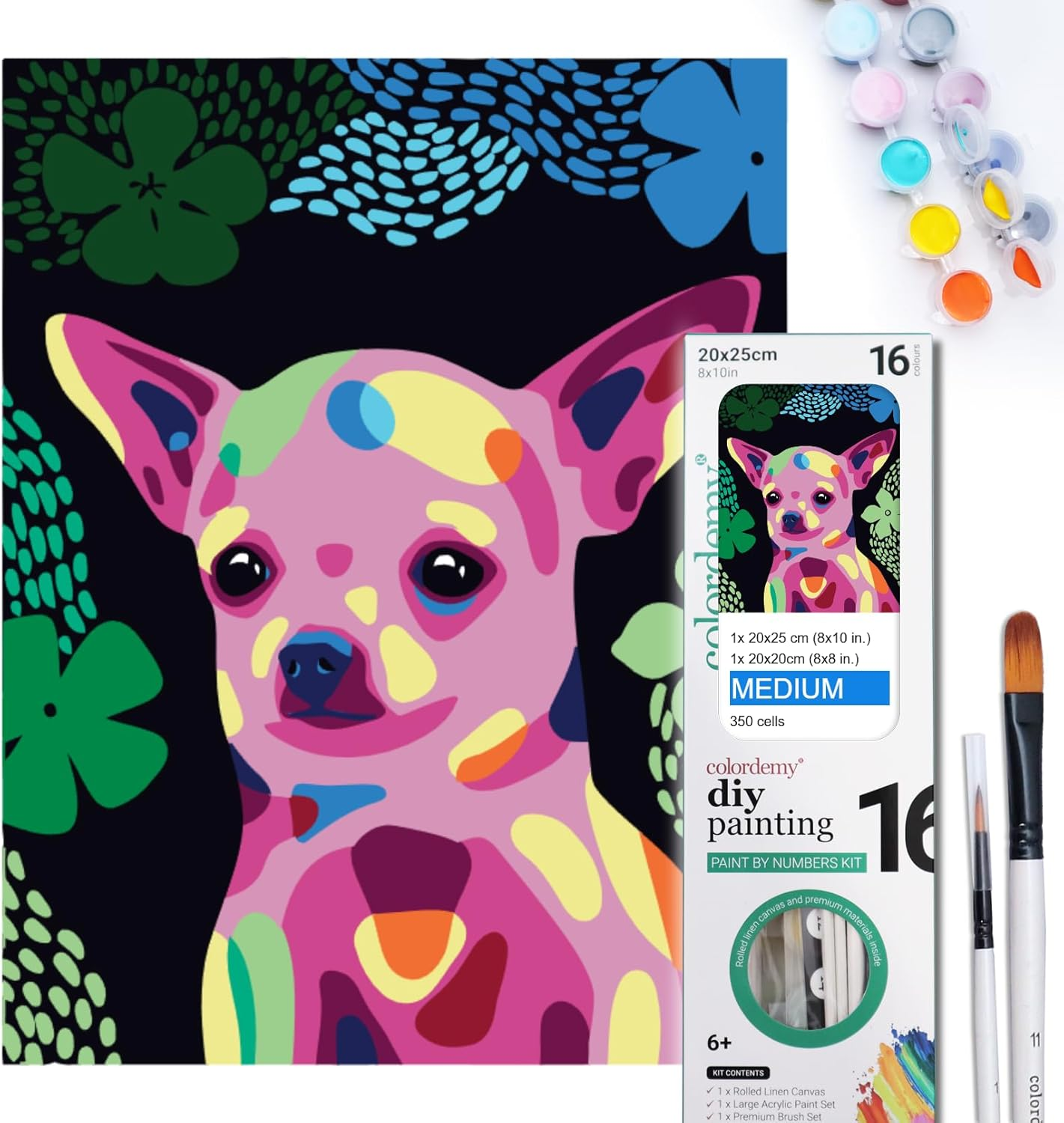 COLORDEMY 2-In-1 Paint by Numbers Kit - Rolled Canvases (20X25Cm & 20X20Cm), 16 Colours, Brushes & Paints Included - Fun for Adults & Kids, Perfect for Parties or Group Painting (Pinscher Design)