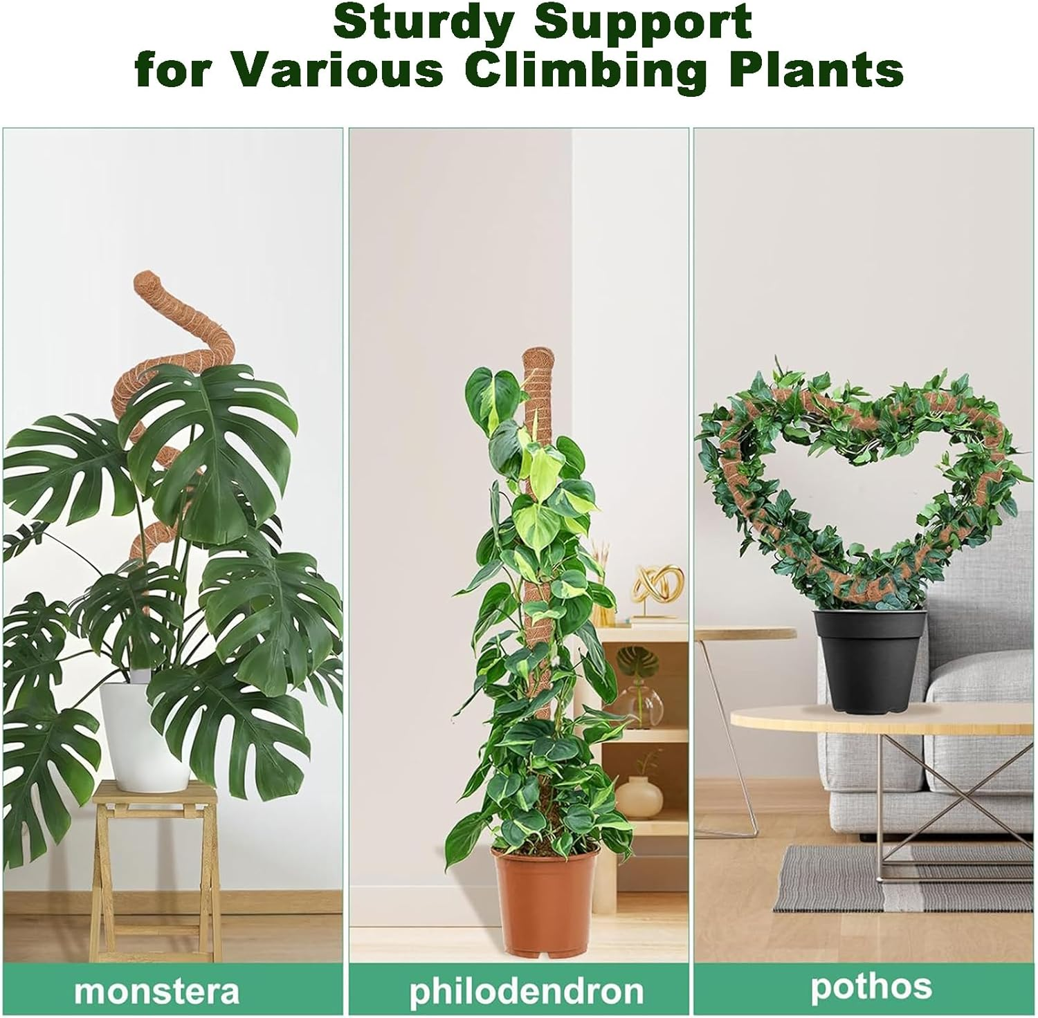 2Pack Moss Pole for Plant Monstera, Bendable Moss Pole for Climbing Plant Moss Pole for Plants Indoor, Plant Support Stakes for Indoor Potted Plants to Grow 70CM (2-Pack 70CM) image number 1