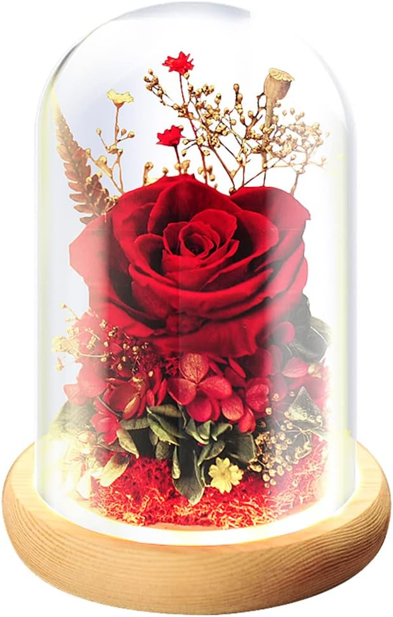 Fizozi-Eternal Rose Gift Set in Glass Dome - Red | Preserved Rose with LED Light | Valentine'S Day Her | Romantic Home Decor | Long-Lasting Beauty (Red) image number 4