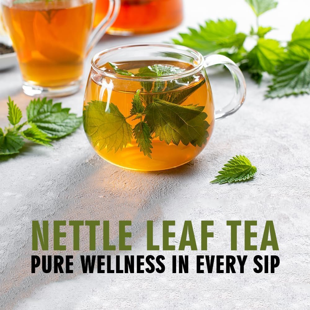 Nettle Leaf Tea 100 G | Loose Cut & Sifted for Fresh Herbal Infusions | Dried Urtica Dioica Leaf Cut for Herbal Tea by Hebhac Herbals image number 3