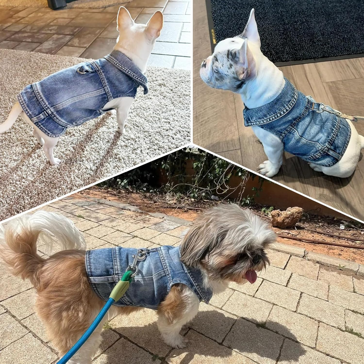 Puppy Clothes for Small Dogs Boy,Classic Western Denim Dog Coat,Dog Jeans Jacket with Leash D-Ring,Pet Cat Costumes,Cooling Harness Vest for Walking (Blue, X-Small) image number 6