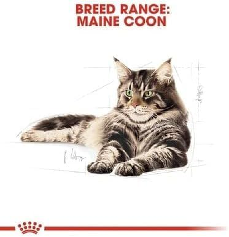 Royal Canin Maine Coon in Gravy Adult over 15 Months Pouches Wet Cat Food 85 GMS 12 Pack image number 6