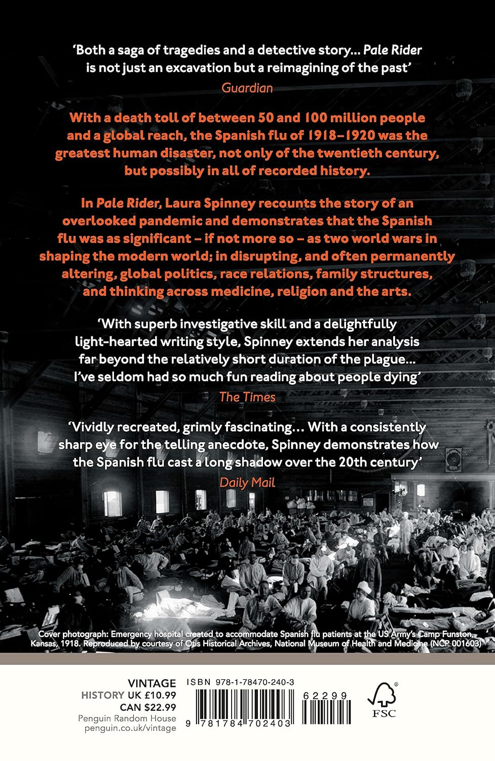 Pale Rider: the Spanish Flu of 1918 and How It Changed the World