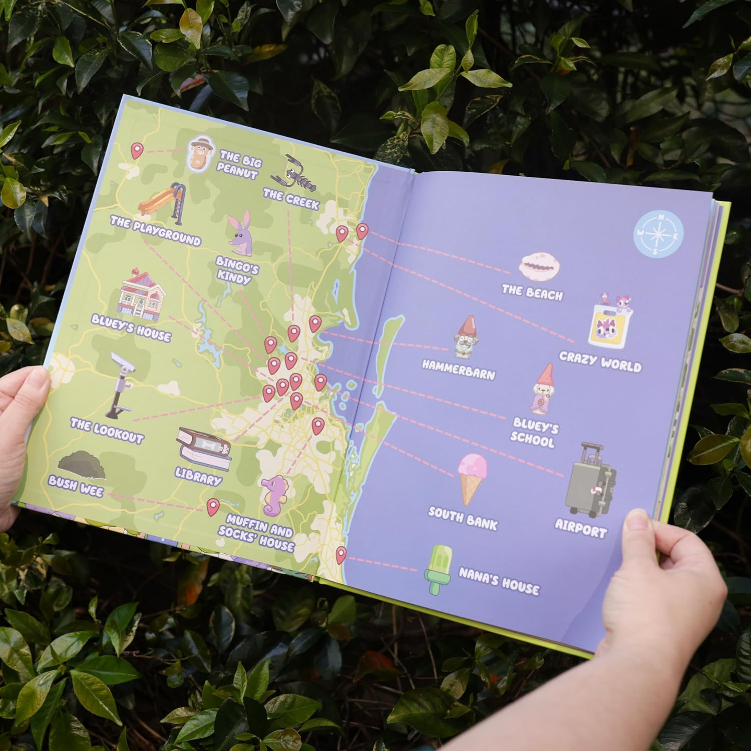 Bluey: Bluey'S Big World: a Book about Everything Bluey - for Real Life. image number 6