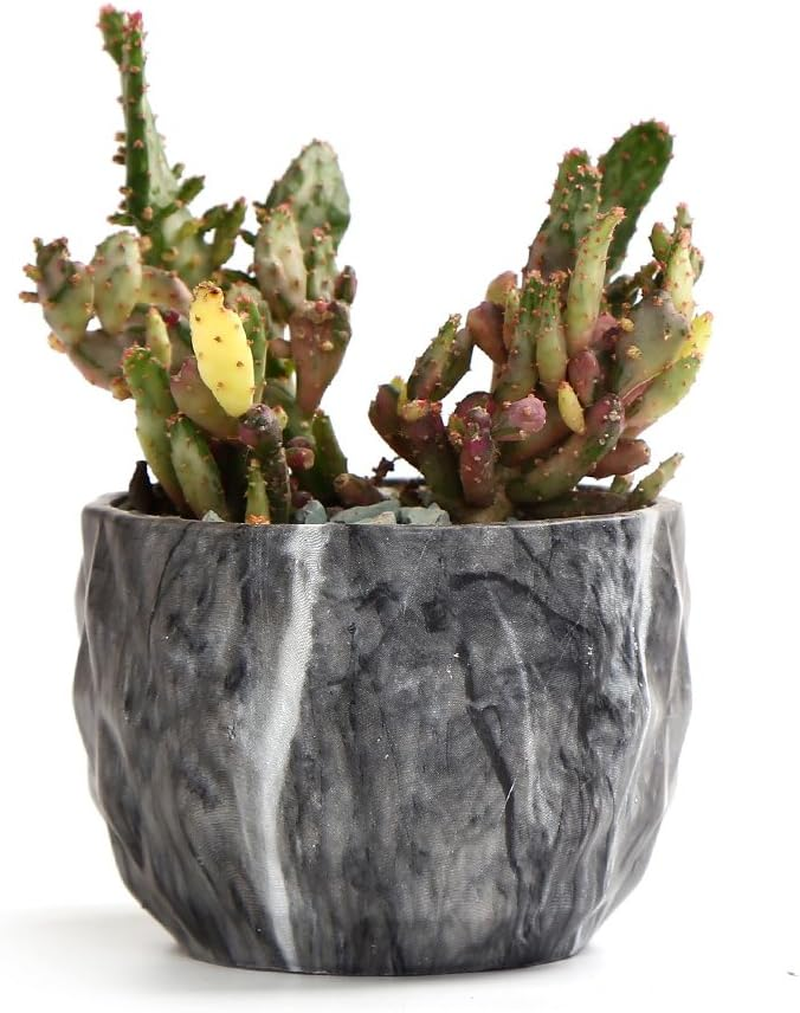 Sun-E SE Modern Style Marbling Ceramic Flower Pot Succulent/Cactus Planter Pots Container Bonsai Planters with Hole 3.35 Inch Gift Idea(4 in Set) Plants Not Included