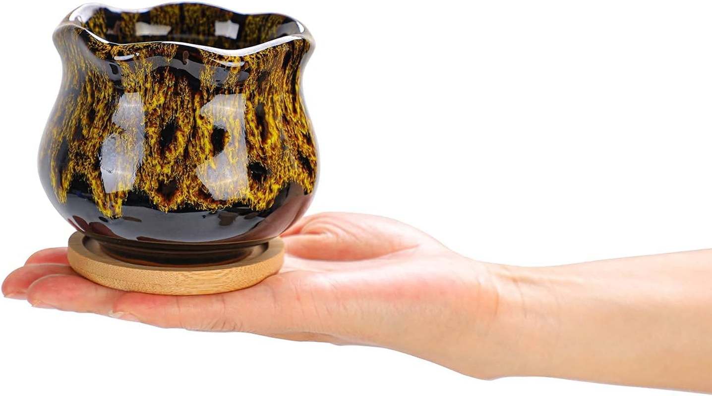 Cute Ceramic Succulent Garden Pots, Planter with Drainage and Attached Saucer, Set of 5 -Plants Not Included (Fambe) image number 4