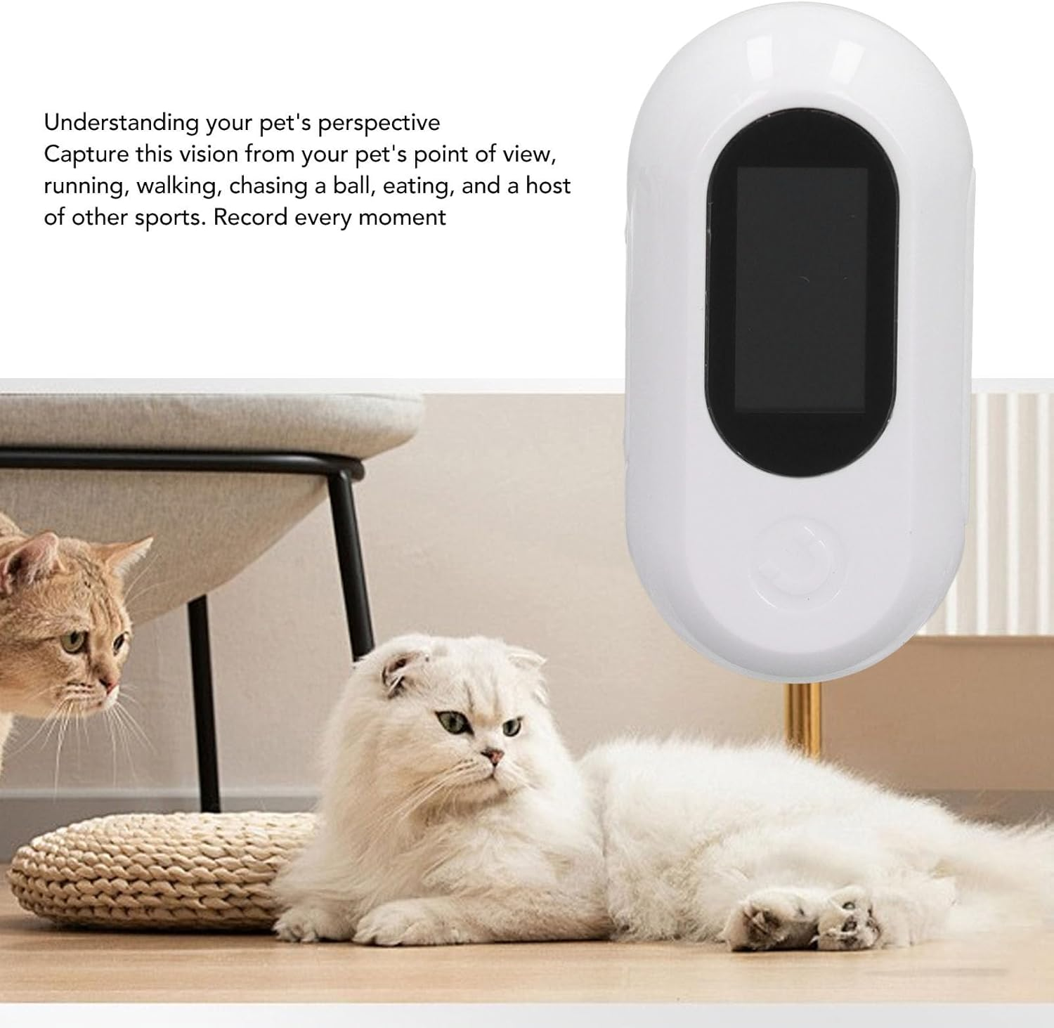 Pet Action Camera, High Definition Miniature Dog Collar Camera, Outdoor Camera with Video and Photo Function for Dog Cat, Easy to Use