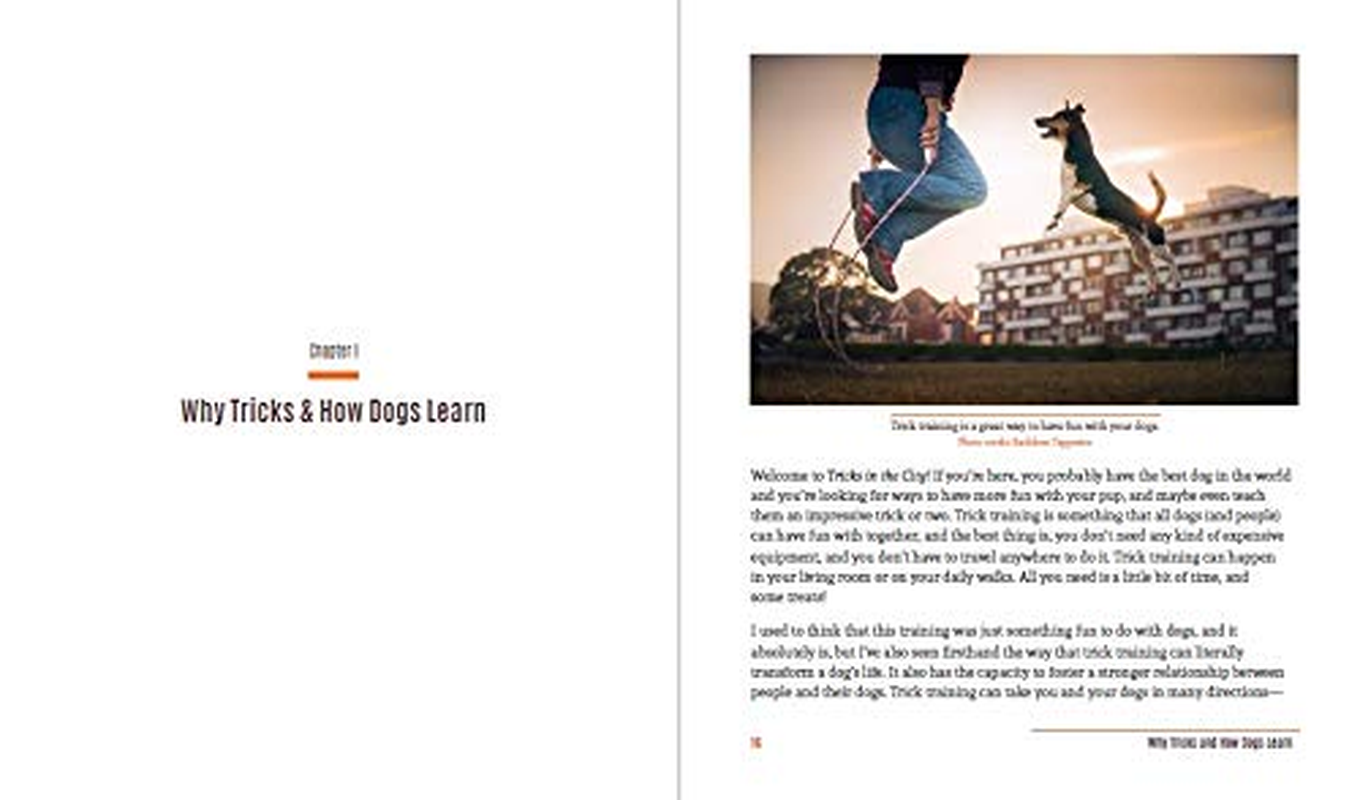 Tricks in the City: for Daring Dogs and the Humans That Love Them (Trick Dog Training Book, Exercise Your Dog) image number 4