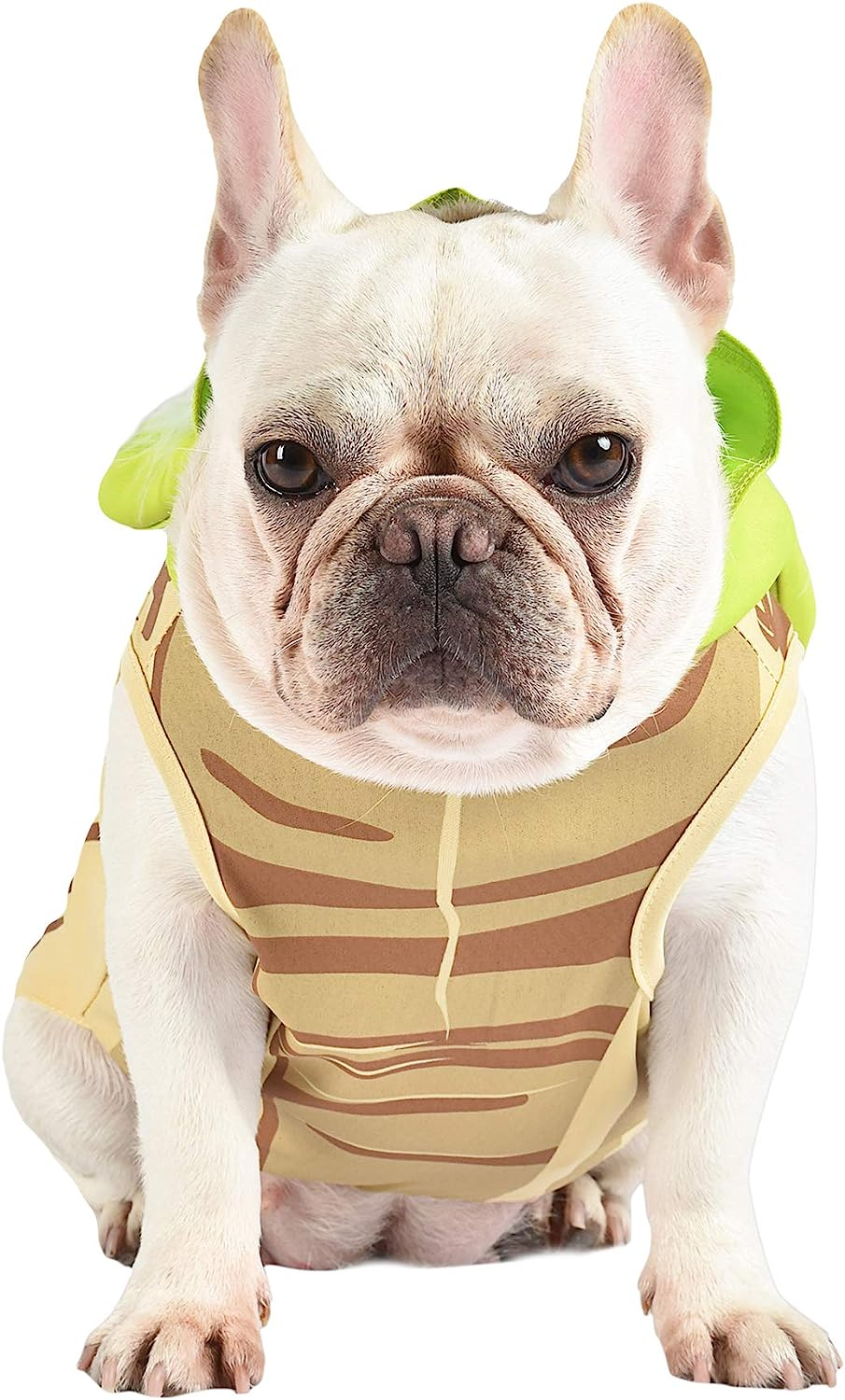 Star Wars Yoda Costume for Dogs, Small (S) | Hooded and Comfortable Green Yoda Dog Costumes for All Dogs | Dog Halloween Star Wars Dog Costume for Small Dogs | See Sizing Chart for More Info image number 1