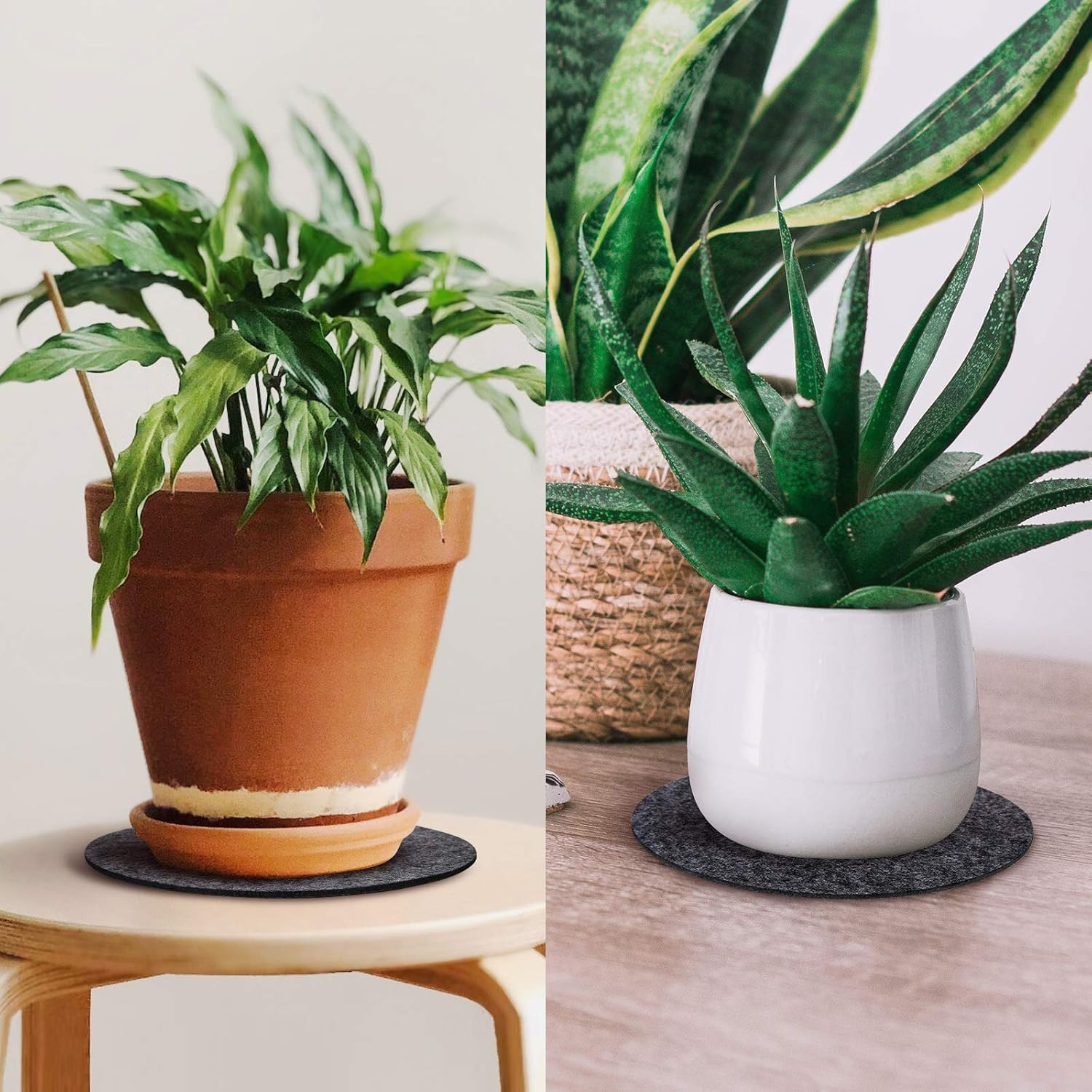 9 Pack Plant Coaster Mat Saucer Reversible Absorbent,Durable Plant Tray Flower Pot Saucers for Indoors and Outdoor,8/10/12 Inch,3 Pcs of Each Size (Grey)&hellip; (8'' 10''12''(Set of 9)) image number 5