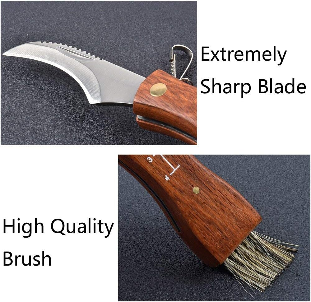 Run-Snail Mushroom Knife, Fungus Knife, Folding Camping Hunting Truffles Harvest Sharp Knives Natural Wood Handle Pocket Knife W/Bristle Brush, SS Pruning Blade, Hardwood Handle image number 3