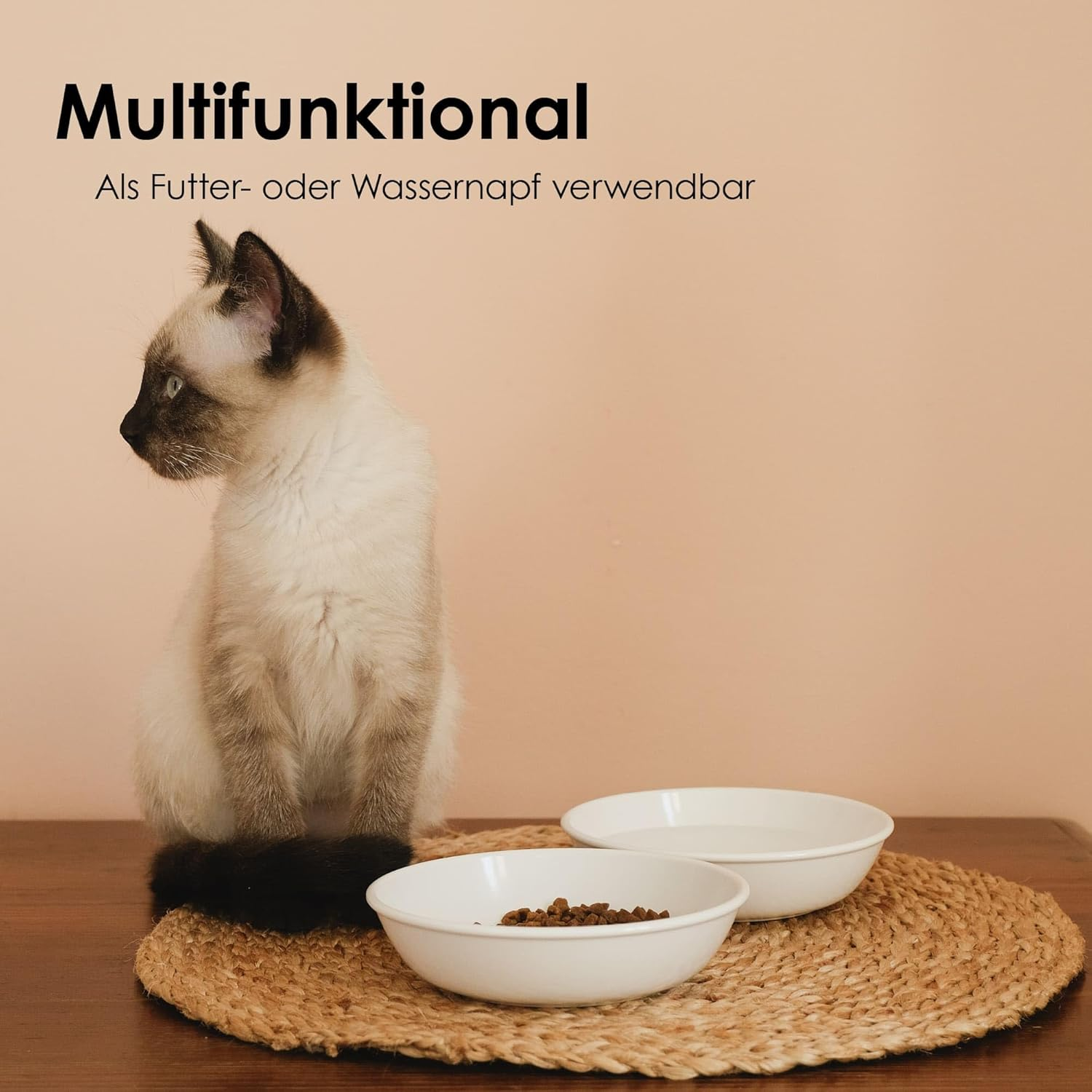 Lucybalu&reg; Melamine Cat Bowl Set of 2 | Feeding & Water Bowl for Cats | White