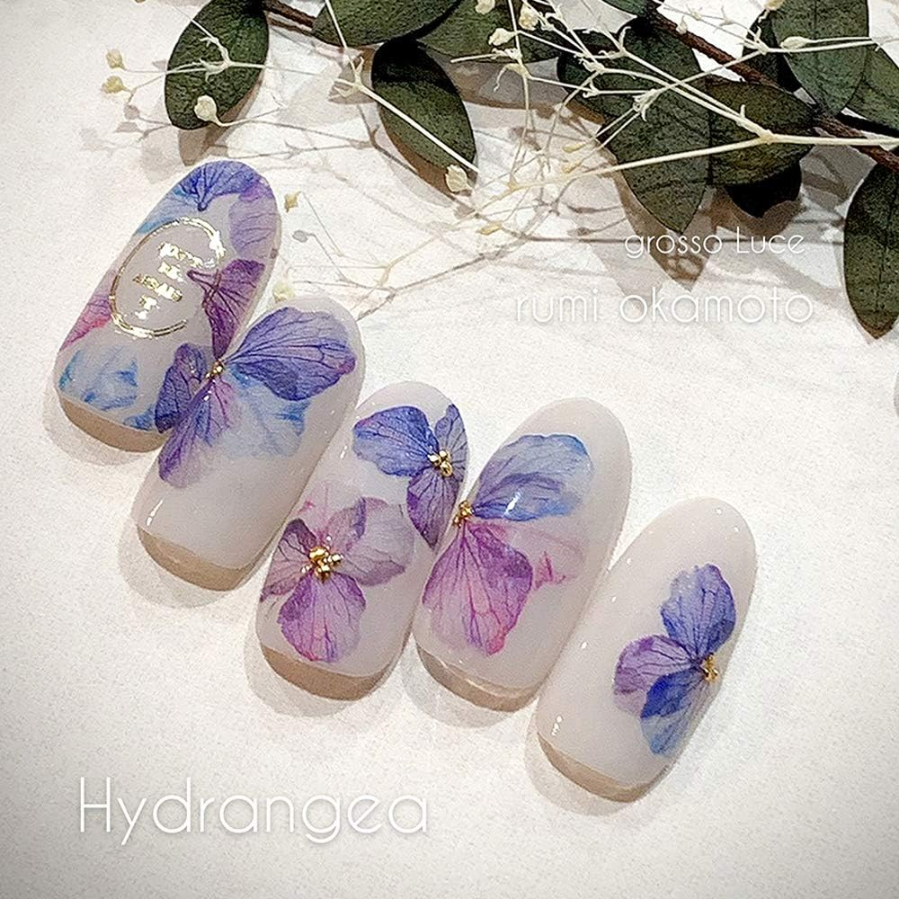 Parts Sha-Nail Sha-Nail Pro Hydrangia 1 Sheet (X1)