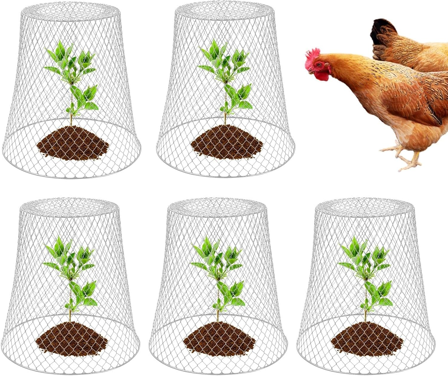 Chicken Wire Cloche Plant Covers Garden Netting Metal Heavy Protectors from Animals for Keeping Bunnies Chicken Squirrels Birds Other Out 23X23Cm (Sliver 5Pc)