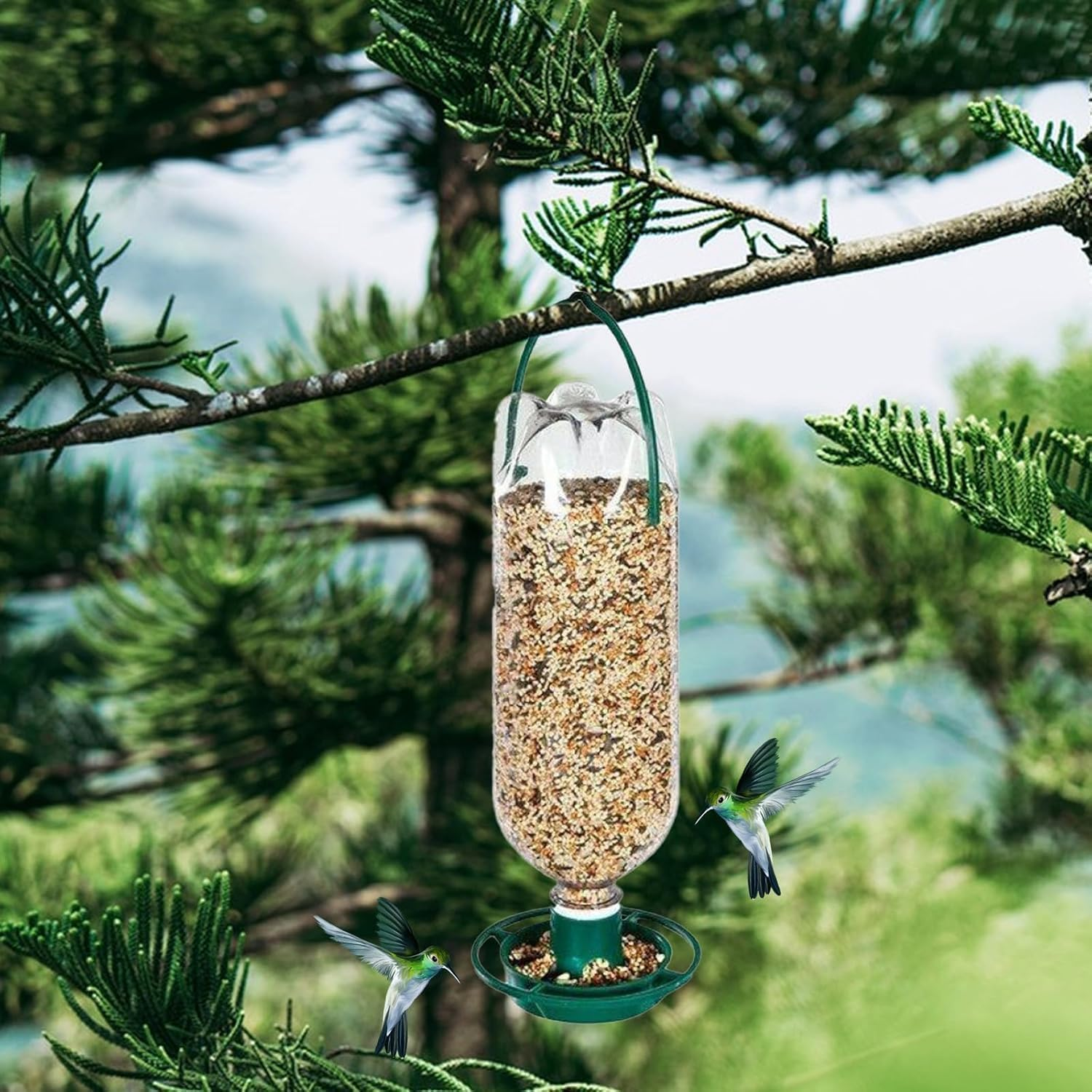 Yharnamite Wild Bird Feeders, Garden Hanging Bird Feeder, Refillable Bottle Top Bird Feeder for Parrots, Lovebirds, Budgies image number 4