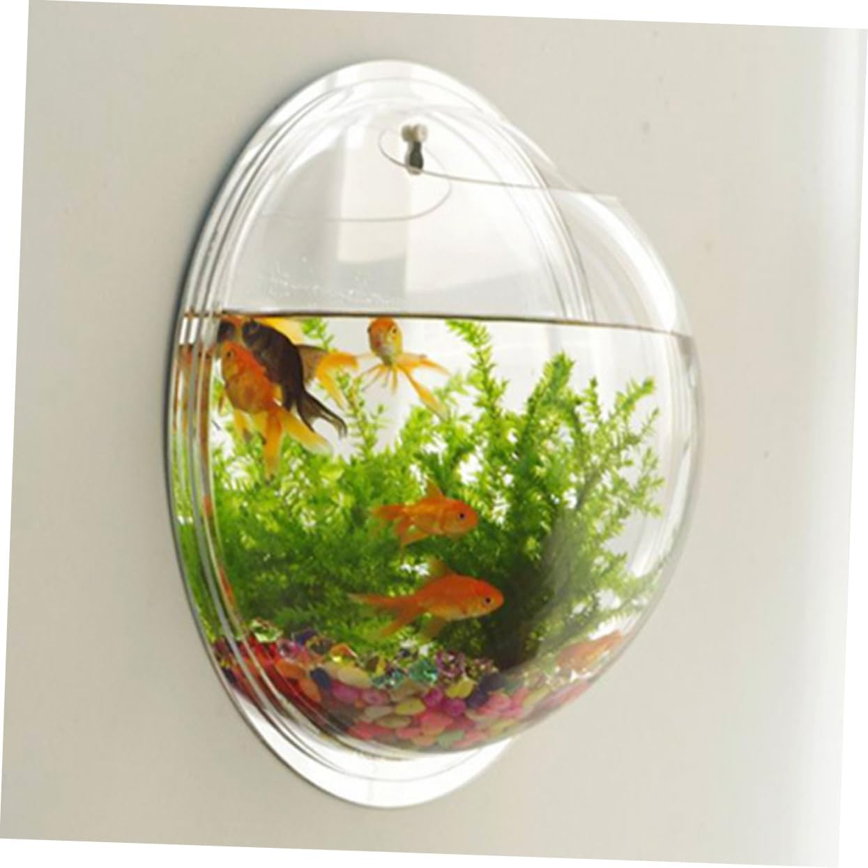 Wall Mounted Fish Bowl Flower Pot Clear Acrylic Bubble Vase for Aquatic Pets Decorative Plant Holder for Home Office Versatile Hanging Planter Comfortable Habitat for Fish image number 3
