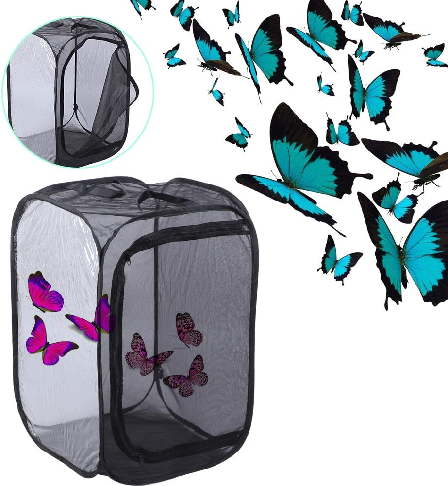 Insect Mesh Cage, Strong Visibility Durable Ventilated Insect Cage Foldable Reusable Smooth Zipper Large Space for Families for School Laboratory for Students image number 4