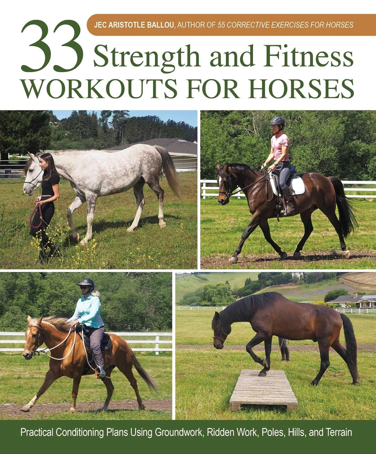 33 Strength and Fitness Workouts for Horses: Practical Conditioning Plans Using Groundwork, Ridden Work, Poles, Hills, and Terrain image number 1