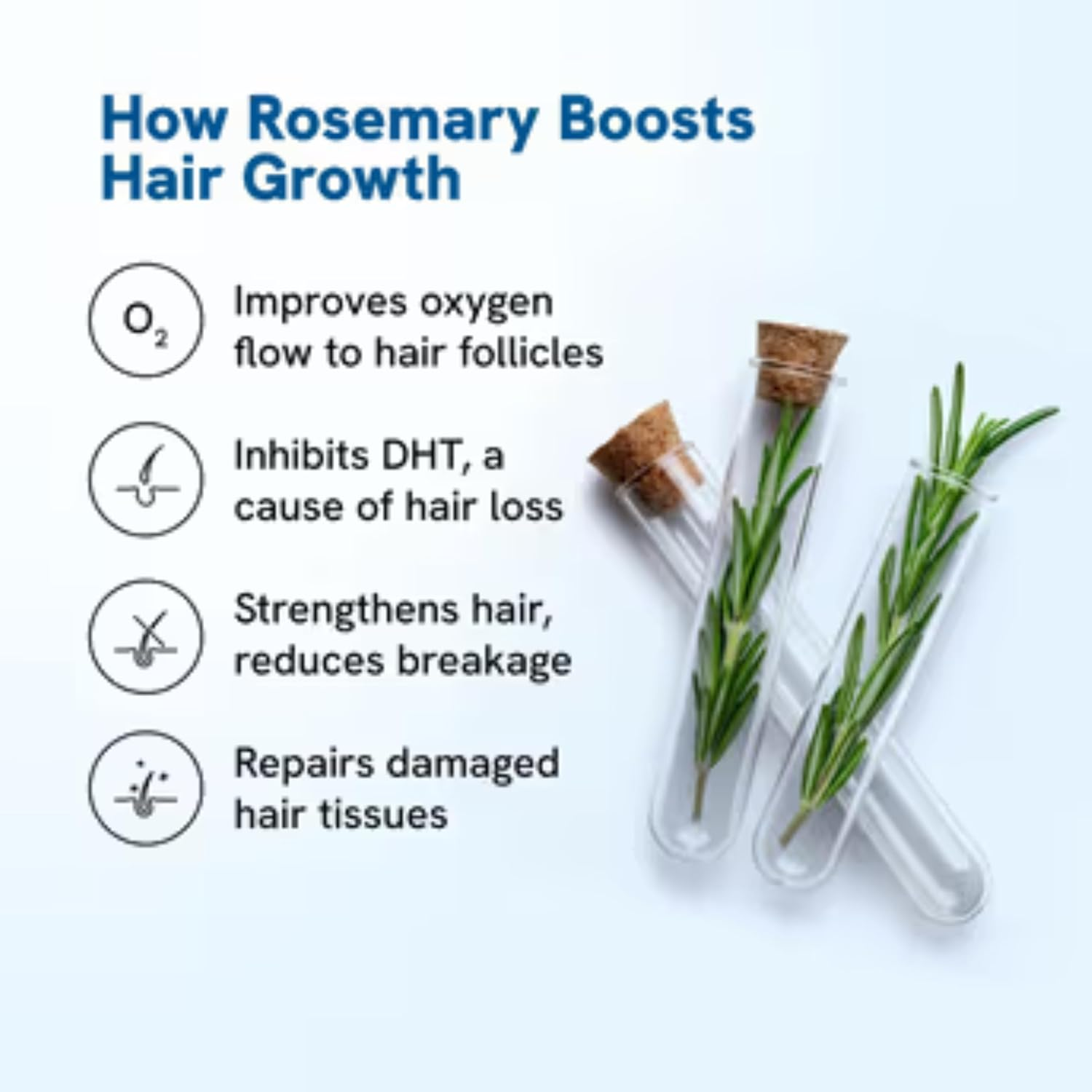 Be Bodywise 3% Rosemary Hair Serum (Roll On) 50Ml | 3% Redensyl, 2% Aminexil & 2% Anagain | Thicker & Stronger Hair Growth | Prevents Hair Fall & Stimulates Hair Follicles | Pack of 2 image number 5
