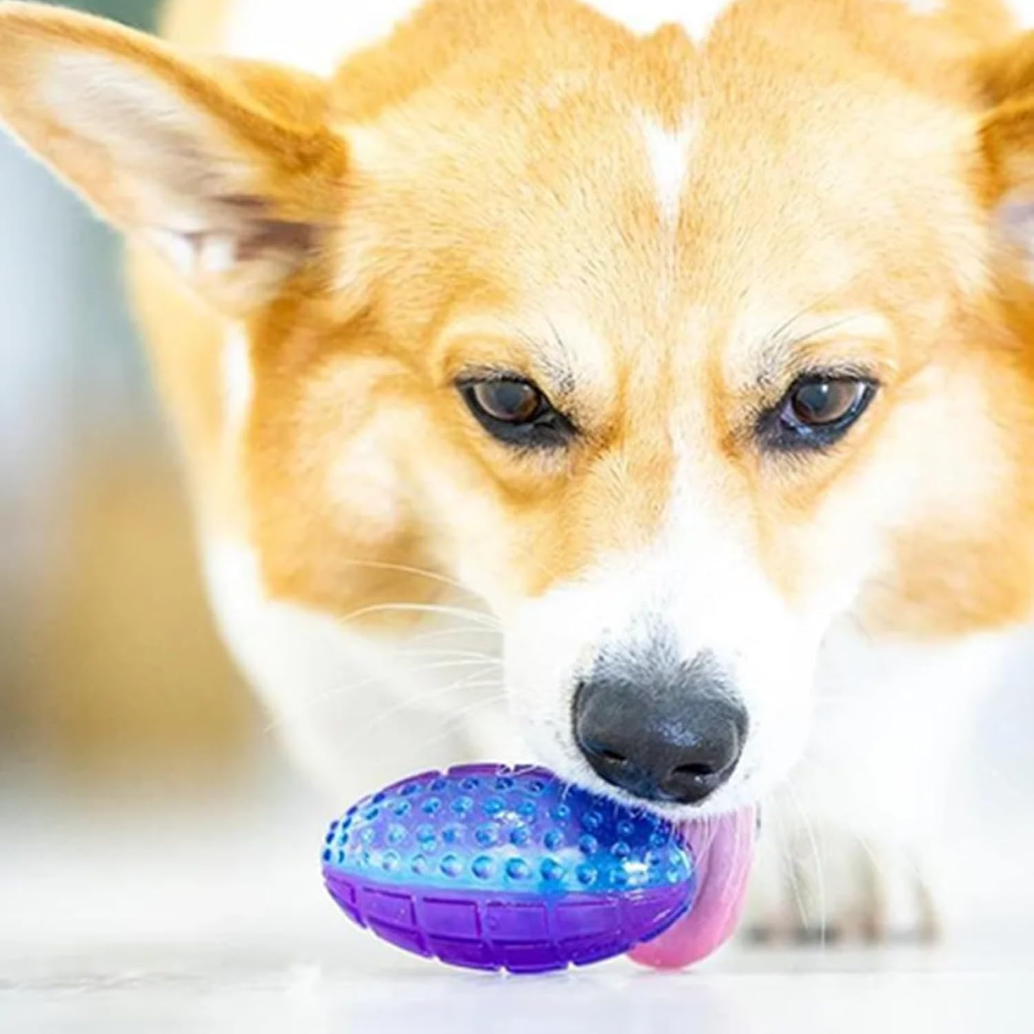 Gigwi Puppy Rugby Ball Purple Blue image number 1