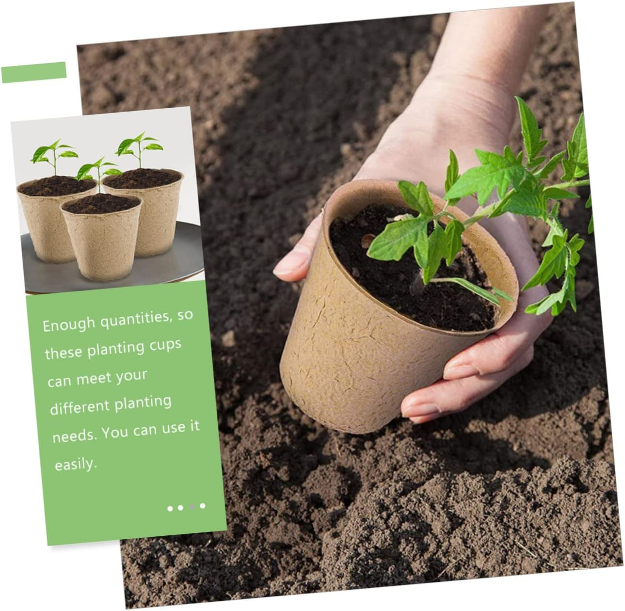 Parliky 1 Set Seedling Paper Cup Mini Pots for Plants Biodegradable Pulp Germination Cups Gardening Supply Nursery Plant Pots 8Cm 50Pcs image number 3