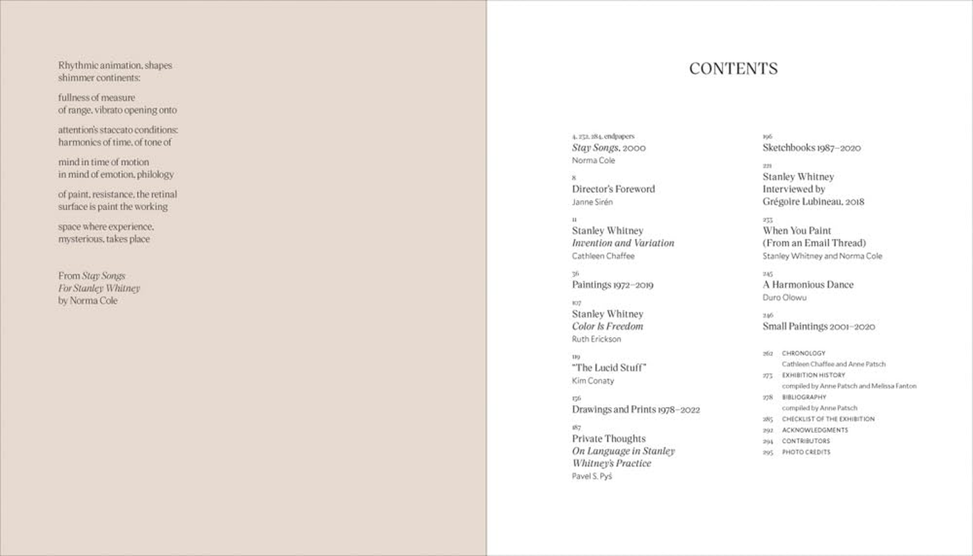 Stanley Whitney: How High the Moon image number 6