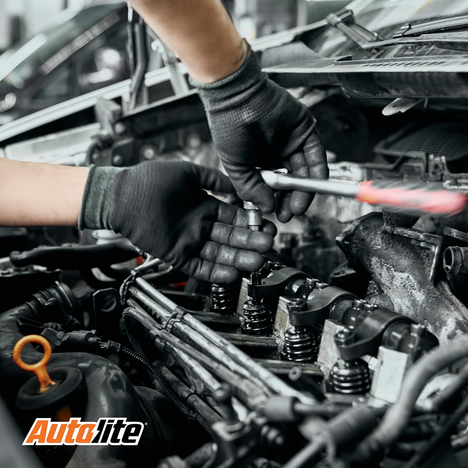 Autolite Iridium XP Automotive Replacement Spark Plugs, XP5364 (4 Pack) image number 5