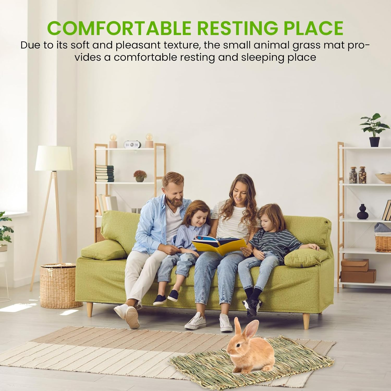 GBKDQQ Pack of 8 Small Animal Grass Mats, 28 X 20 Cm Woven Grass Mat, Rabbit Bed, Naturally Safe and Edible, Animal Chew Toy for Guinea Pigs, Rabbits, Hamsters, Mice image number 1