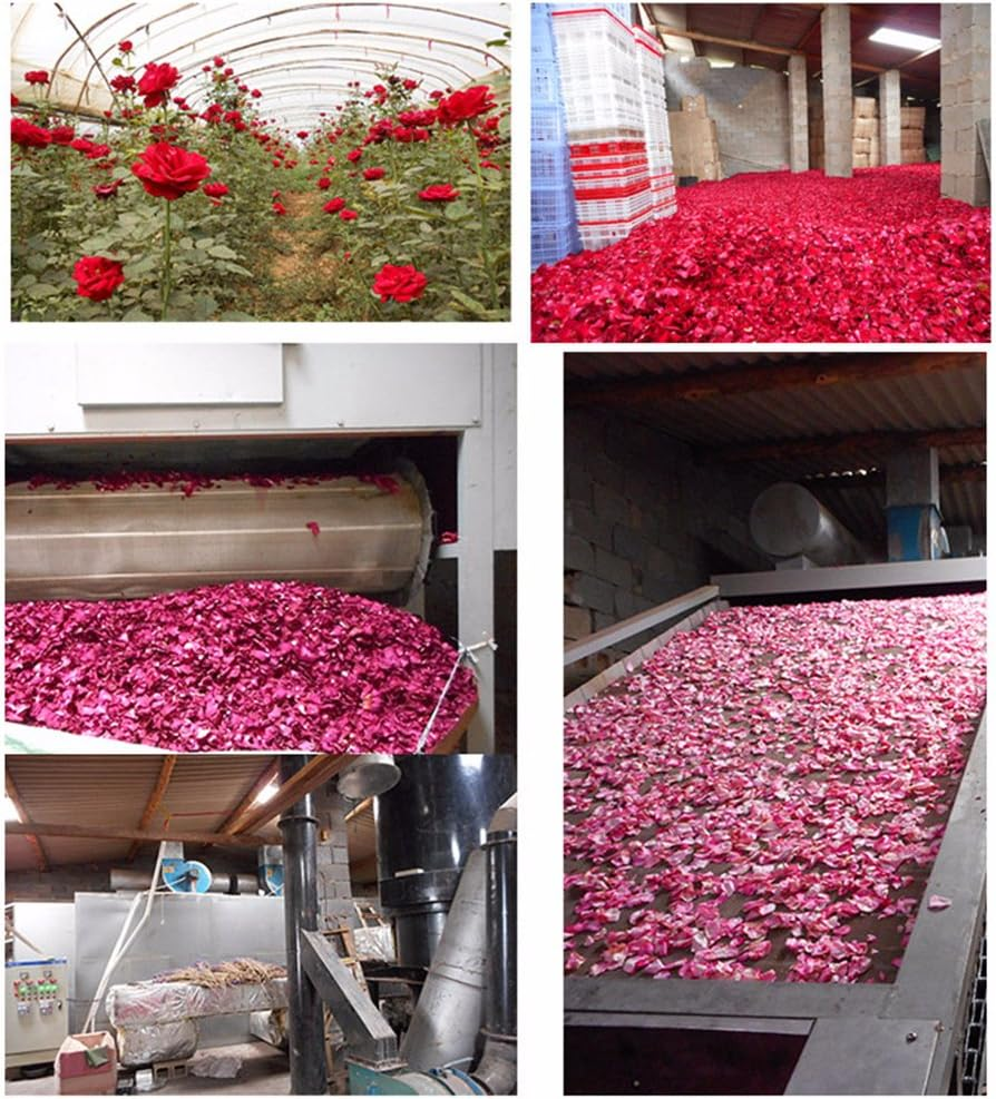 Tooget Dried Natural Real Red Rose Petals Organic Dried Flowers Wholesale Best for Wedding Party Decoration Bath Body Wash Foot Wash Tea Baking Potpourri Crafting - 2 OZ image number 4
