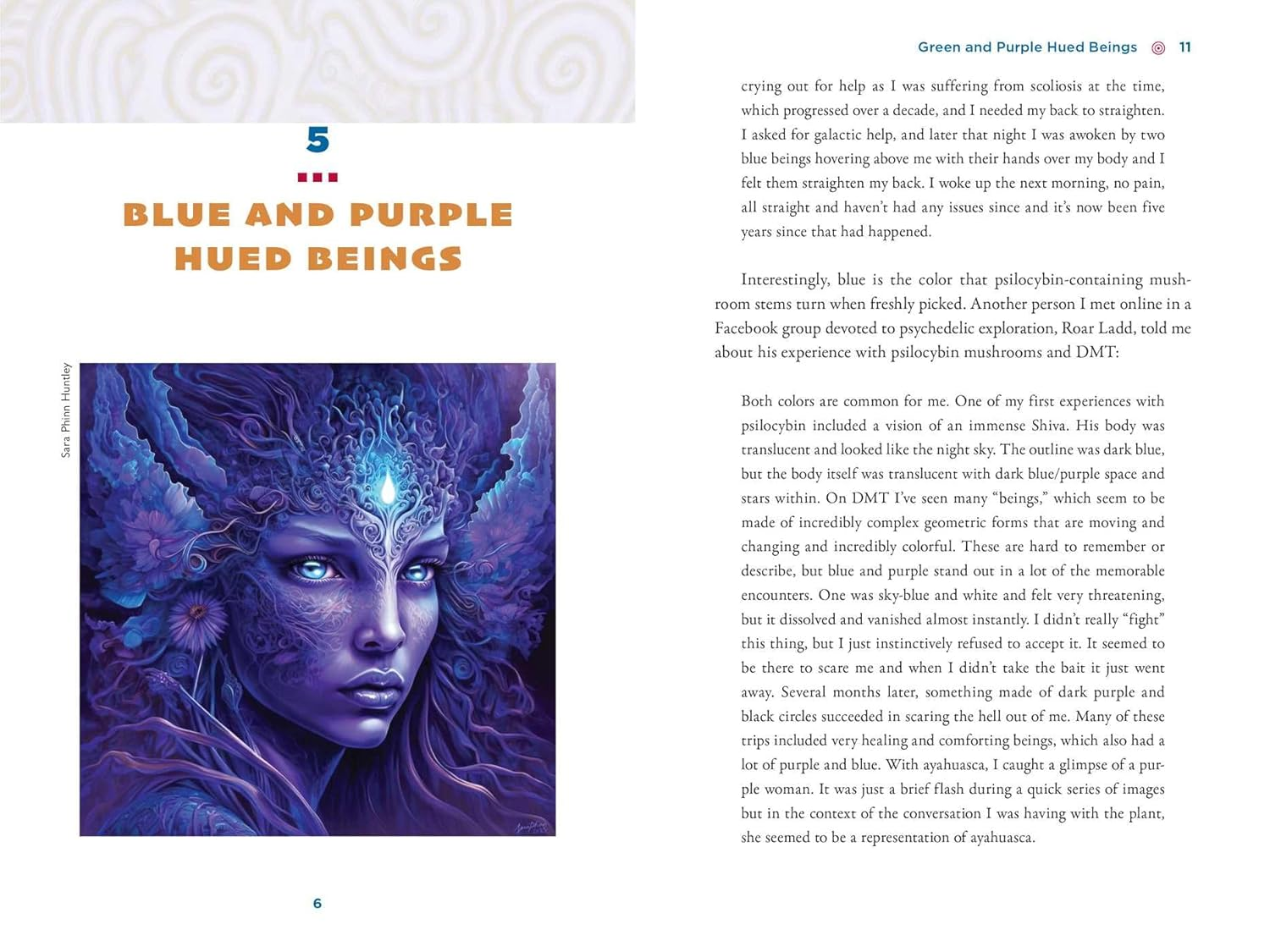 The Illustrated Field Guide to DMT Entities: Machine Elves, Tricksters, Teachers, and Other Interdimensional Beings image number 4