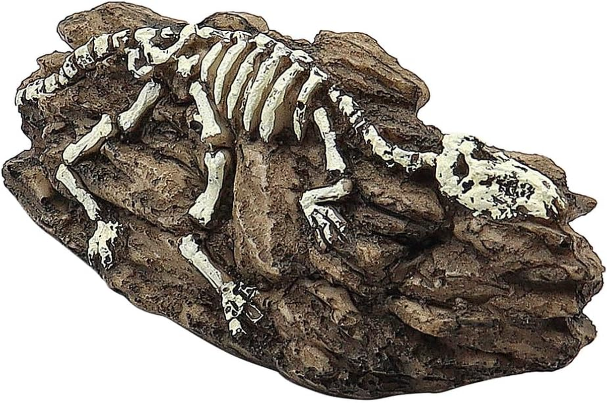 NUZAMAS Aquarium Dinosaur Fossil Decoration Dinosaur Ornaments Reptile Shelter Artificial Dinosaur Hideout Cave Landscape Fish Tank Decoration Landscape Hiding House image number 2