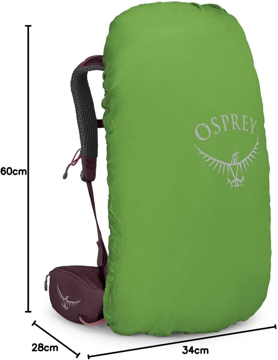 Osprey Osprey image number 1