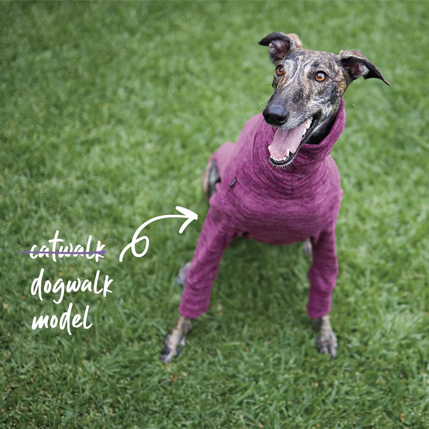 Kazoo Greyhound Softie Dog Jumper, Mulberry, Small image number 6