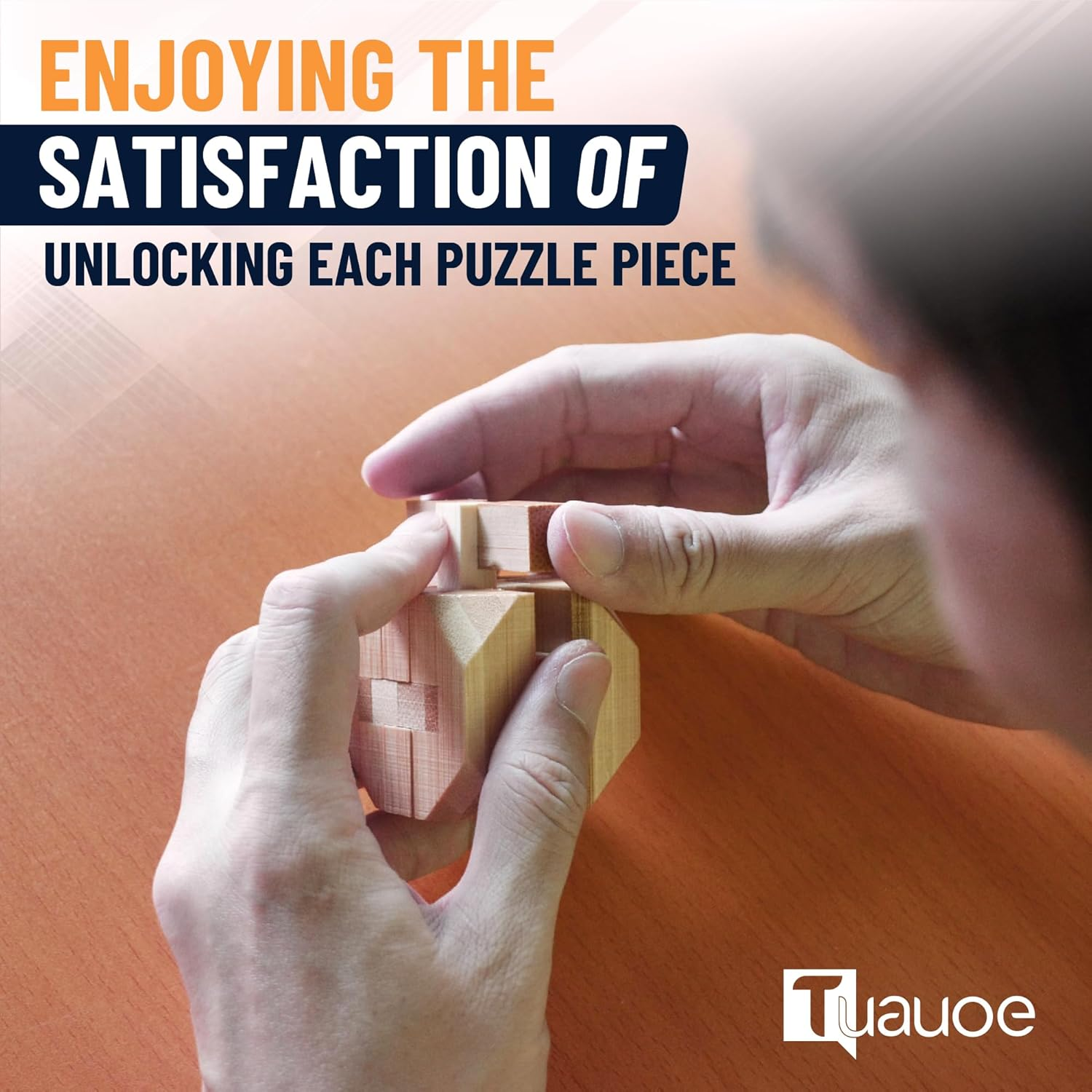 Tuauoe Wooden Brain Teaser Puzzles, 9Pcs 3D Brain Teasers for Adults Teens Kids, Logic Mind Puzzle Box Lock Toy Removing Assembling 3D Small Puzzle Gift Set, Small 3D Unique IQ Hand Puzzles