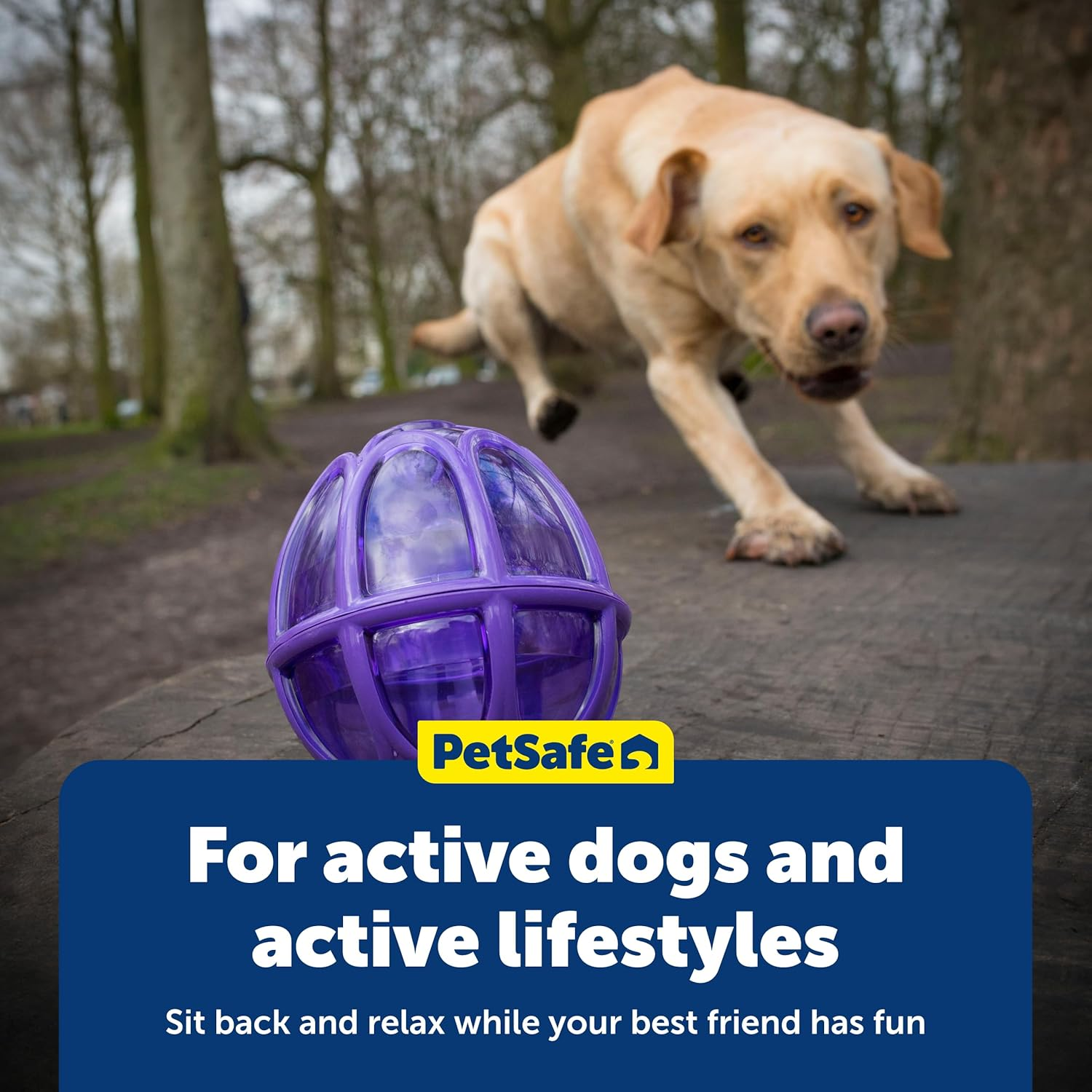 Petsafe Busy Buddy Kibble Nibble Meal Dispensing Dog Toy, Small - Pty00-13739,Purple - S (Pack Of 1) image number 6