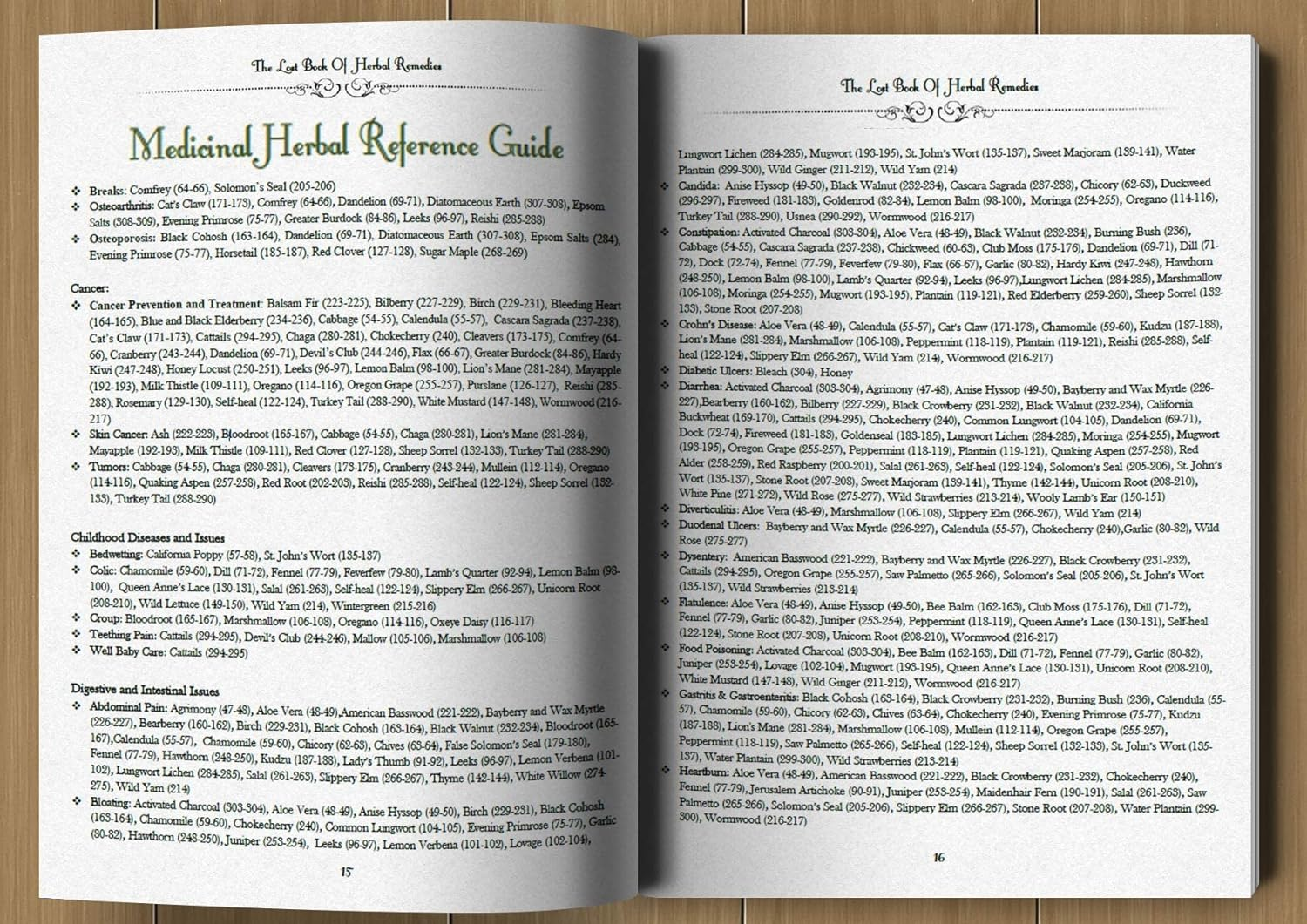 The Lost Book of Herbal Remedies - Paperback image number 4