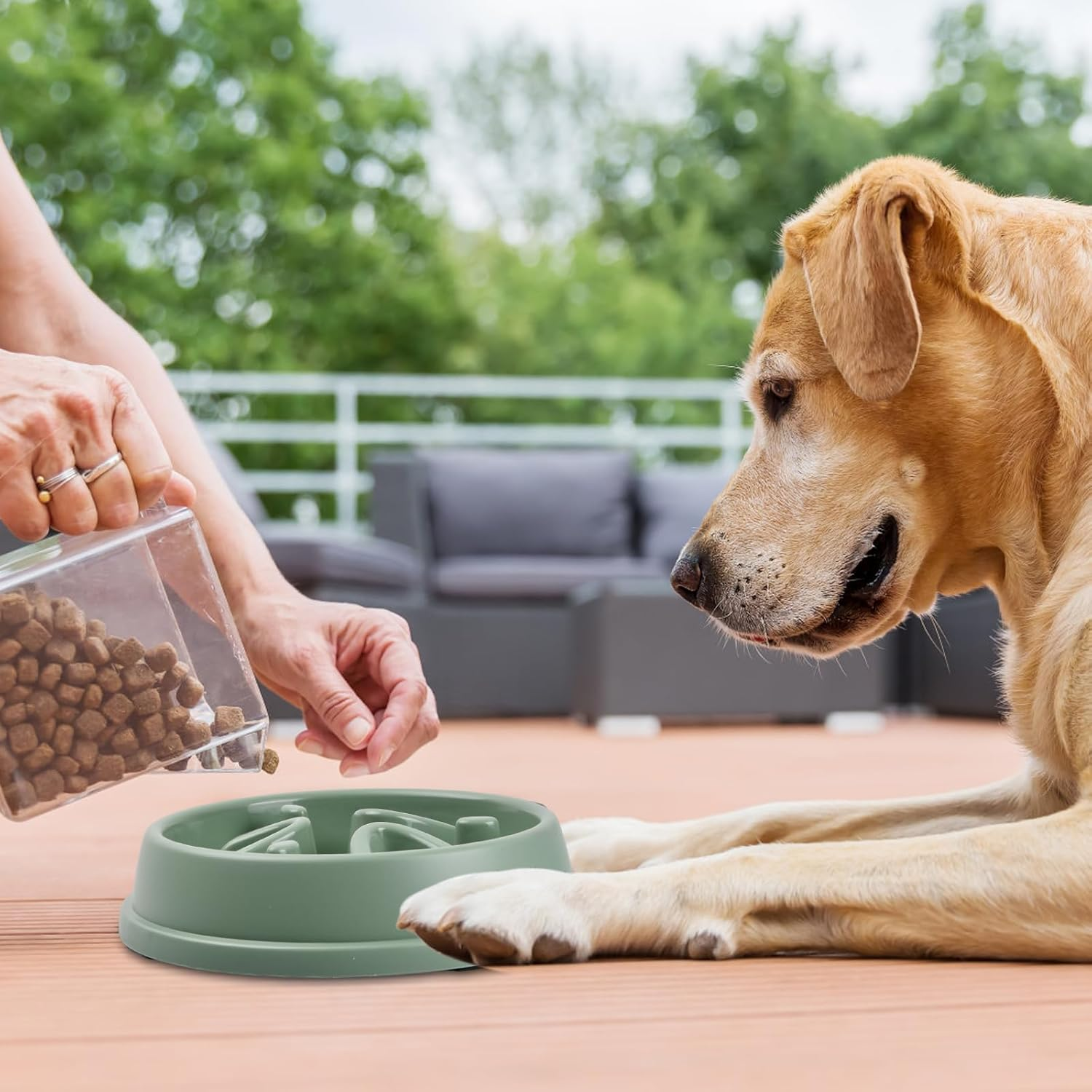 2 Pack Anti-Gulping Bowl Dog, Anti-Gulping Bowl for Dogs, Slow Feeding for Small and Medium Pets, Interactive Bowl for Slow Feeder and Cat image number 5