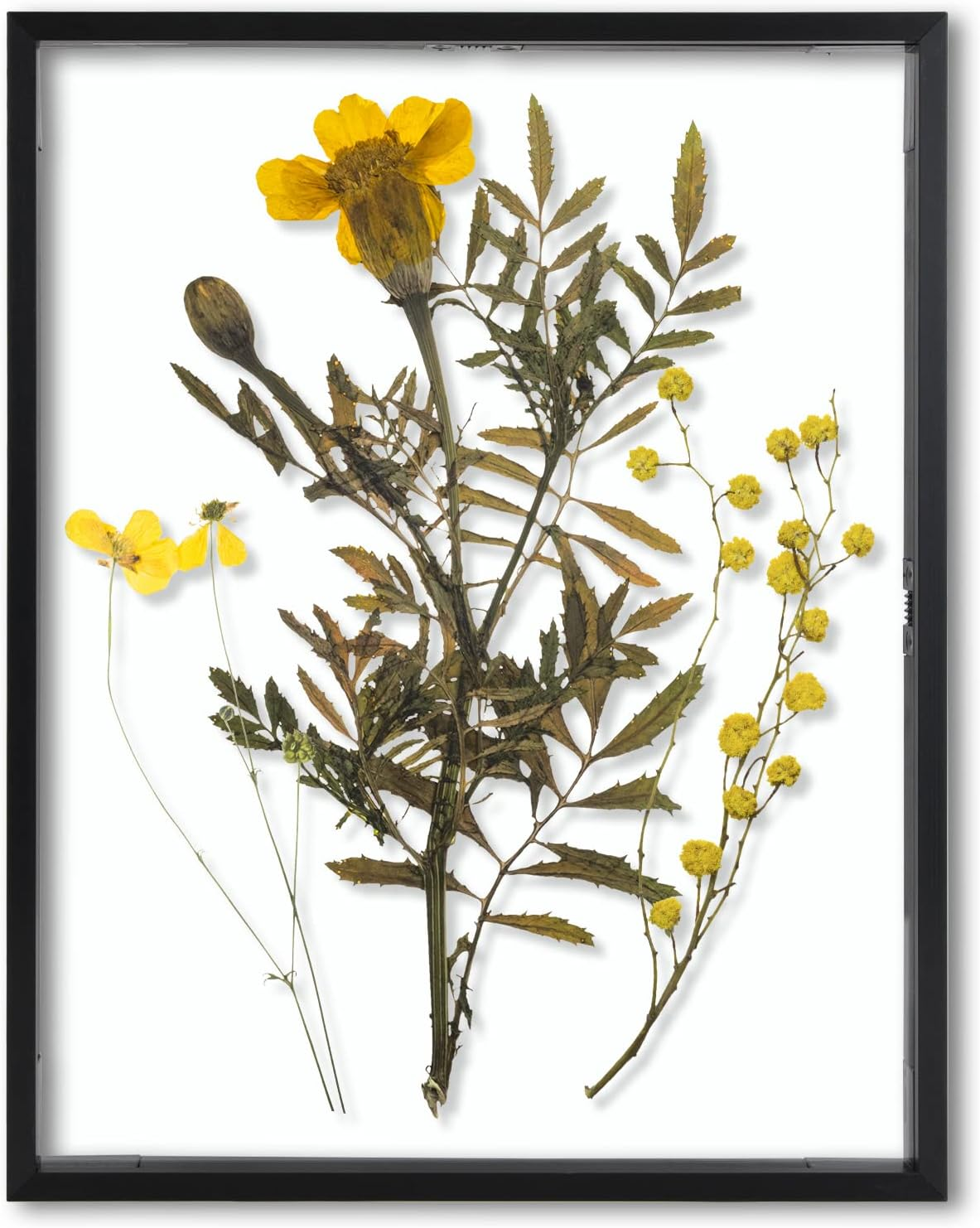 Frametory, Floating Picture Frame 8X10 - Black Aluminum Metal Photo Frame - Real Glass of Front - for Wall Mount Displays