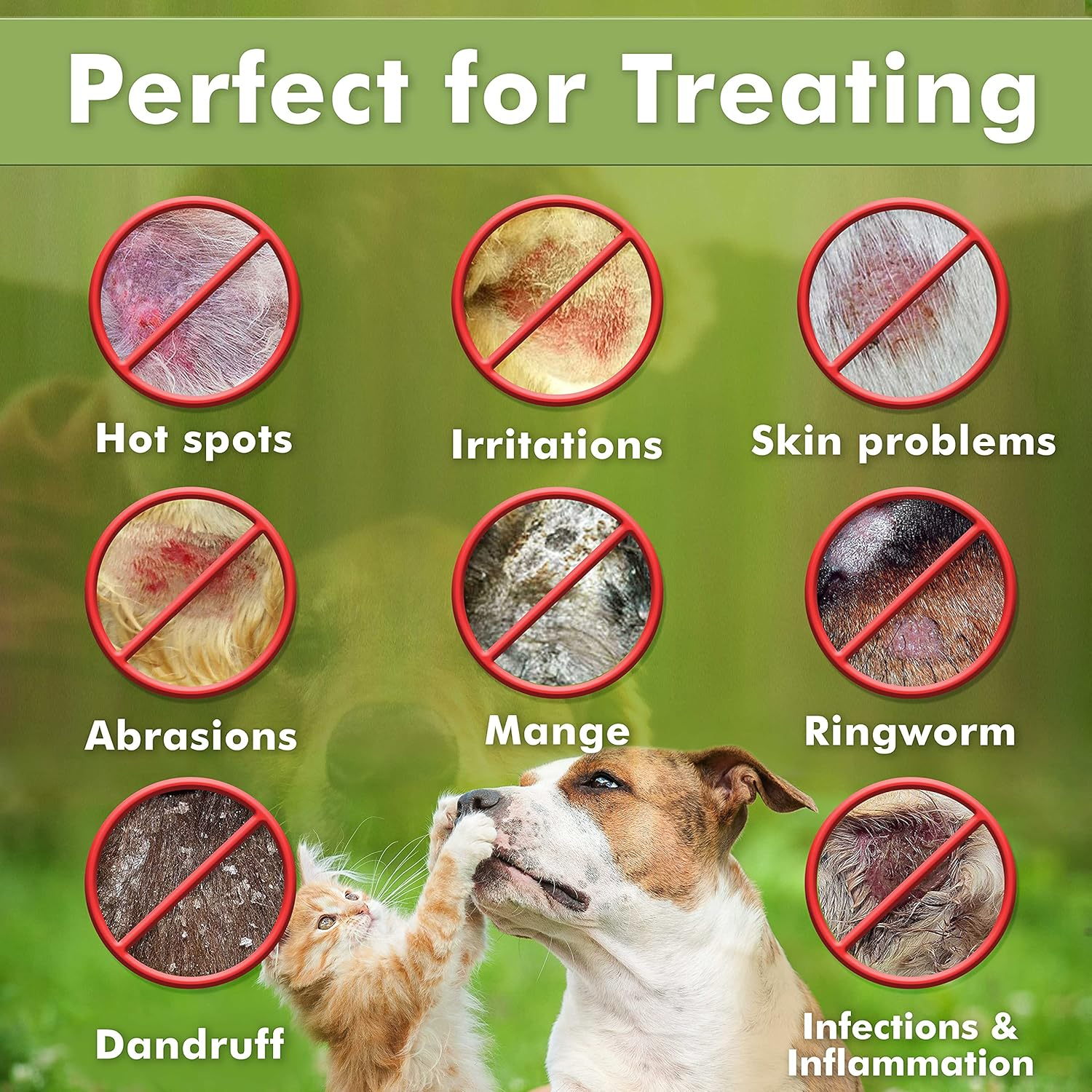 Arava Natural Medicated Dog Shampoo &ndash; anti Yeast anti Itch Dog Shampoo - Healthy Skin & Coat - First Aid in Hot Spots Ringworm Scrapes Abrasions & Dermatologic Infections image number 3