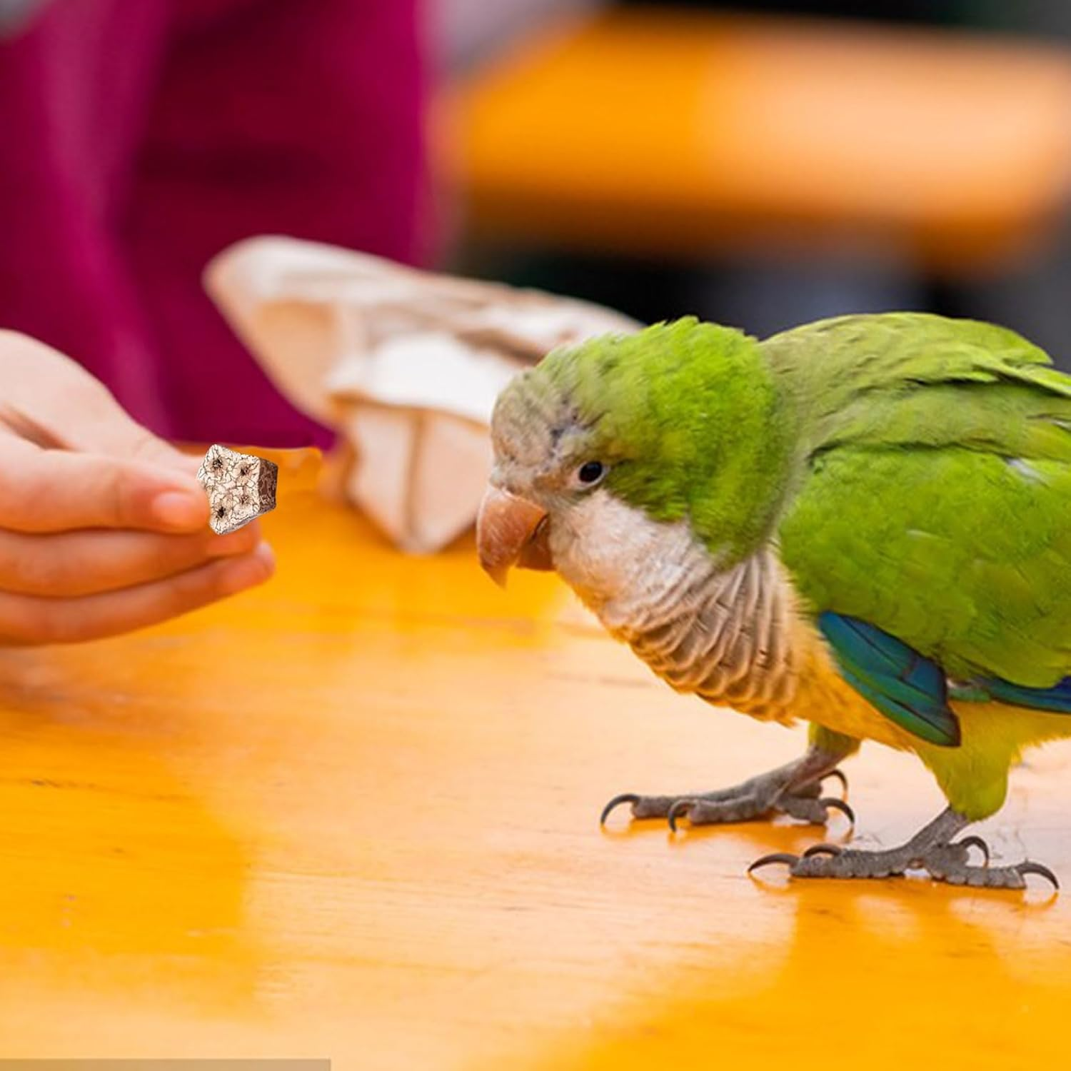Bird Chew Toy, 24 Pieces Natural Dried Star Fruit Interactive Parrot Toy Budgies Teeth Grinding Treat Blocks Cage Accessories for African Cockatoos image number 5
