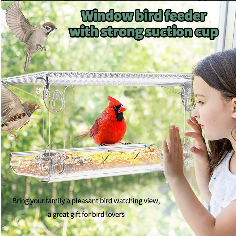 Window Sparrow Feeder with Strong Suction Cups, Transparent Bird House Outside, Hanging Small Animal Bowl for Garden, Yard, Elderly Kids Viewing image number 1