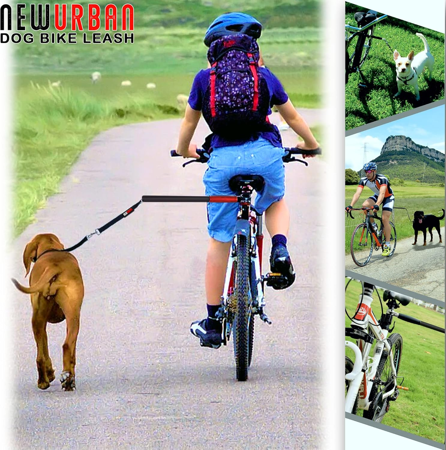 NEWURBAN - Dog Bike Leash - Easy Installation Removal - Hand Free Dog Bicycle - Exerciser Leash - for Exercising - Training Jogging - Cycling and Outdoor - Safe with Pets.R Large Walky plus Biking - Black image number 5