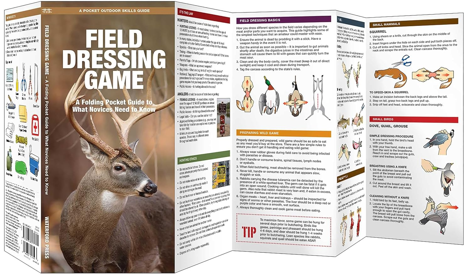 Field Dressing Game: a Folding Pocket Guide to What a Novice Needs to Know image number 1