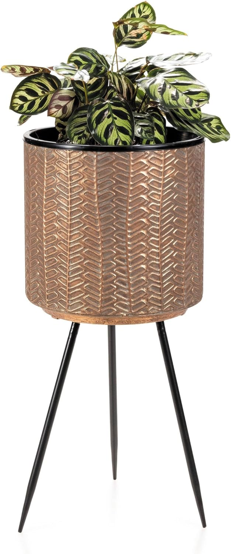 Takasho Osmunda Aged Brass Finish Planter on Legs, 55 Cm image number 1