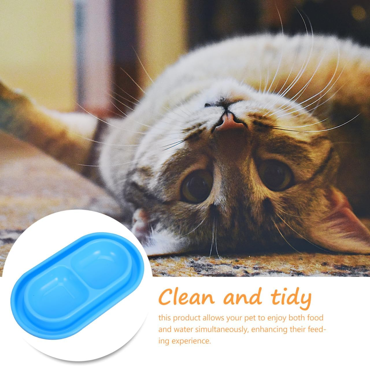 Kisangel -Ant Cat Bowl Cat Food Bowl Pet Food Bowl Cat Water Fountain Cat Water Bowl Small Flat Pet Dish Ant Away Cat Bowls Food Water Bowls Dish Away Dog Bowls Kitten Dish Pp Blue image number 3