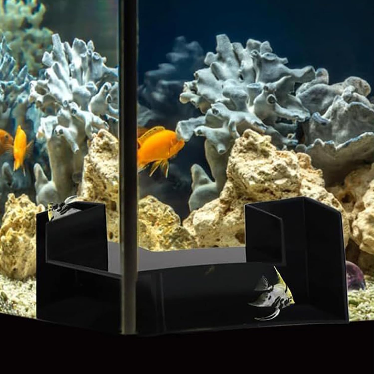 Fish Tunnel, Aquarium Caves and Hides, Viewing Shelter Hiding, Safe Resting Habitat, Ideal for Shrimp Breeding, Freshwater, Saltwater Tanks Pet Enrichment, 12.5X12.5X5.7Cm image number 5