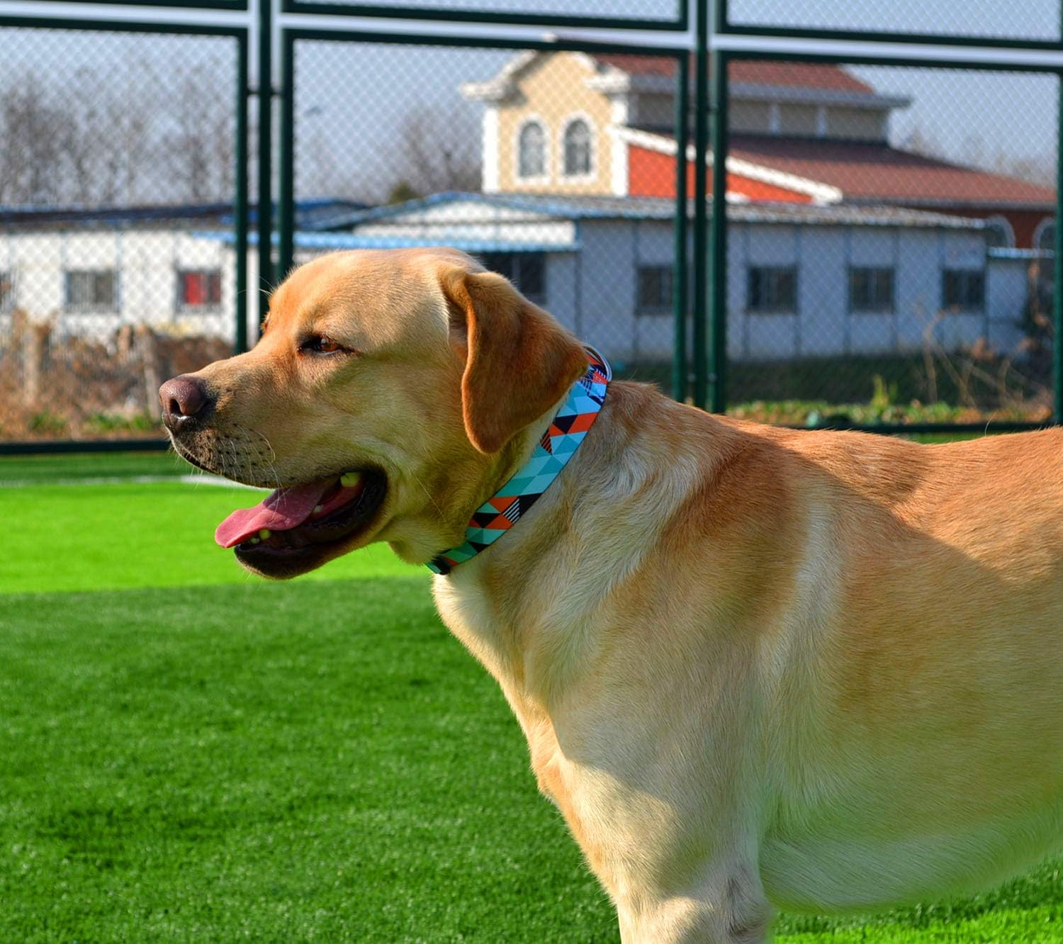 Mihqy Dog Collar with Bohemia Floral Tribal Geometric Patterns - Soft Ethnic Style Collar Adjustable for Small Medium Large Dogs image number 2